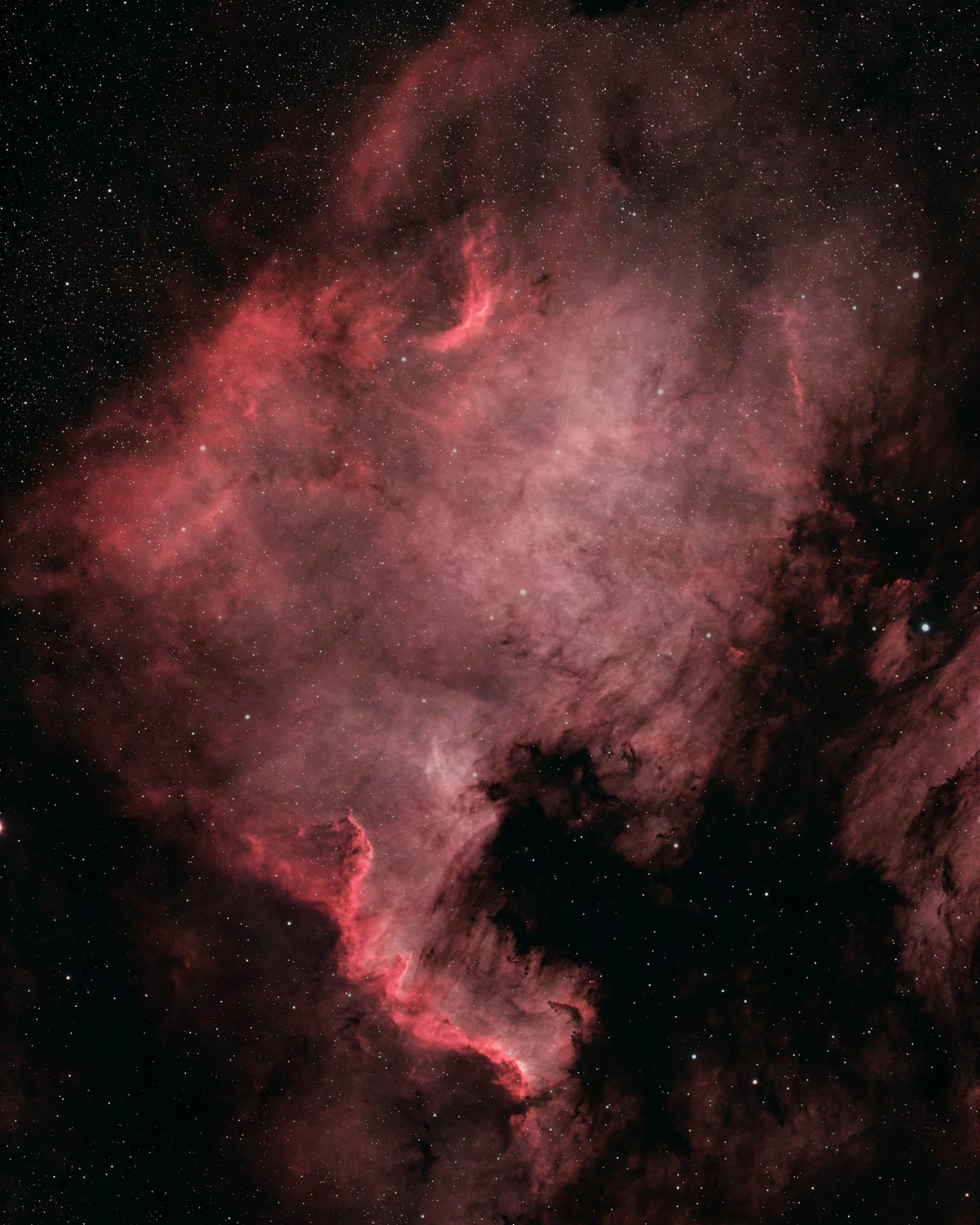 NGC 7000 - North America nebula Var. 1 - 2'590 LYR