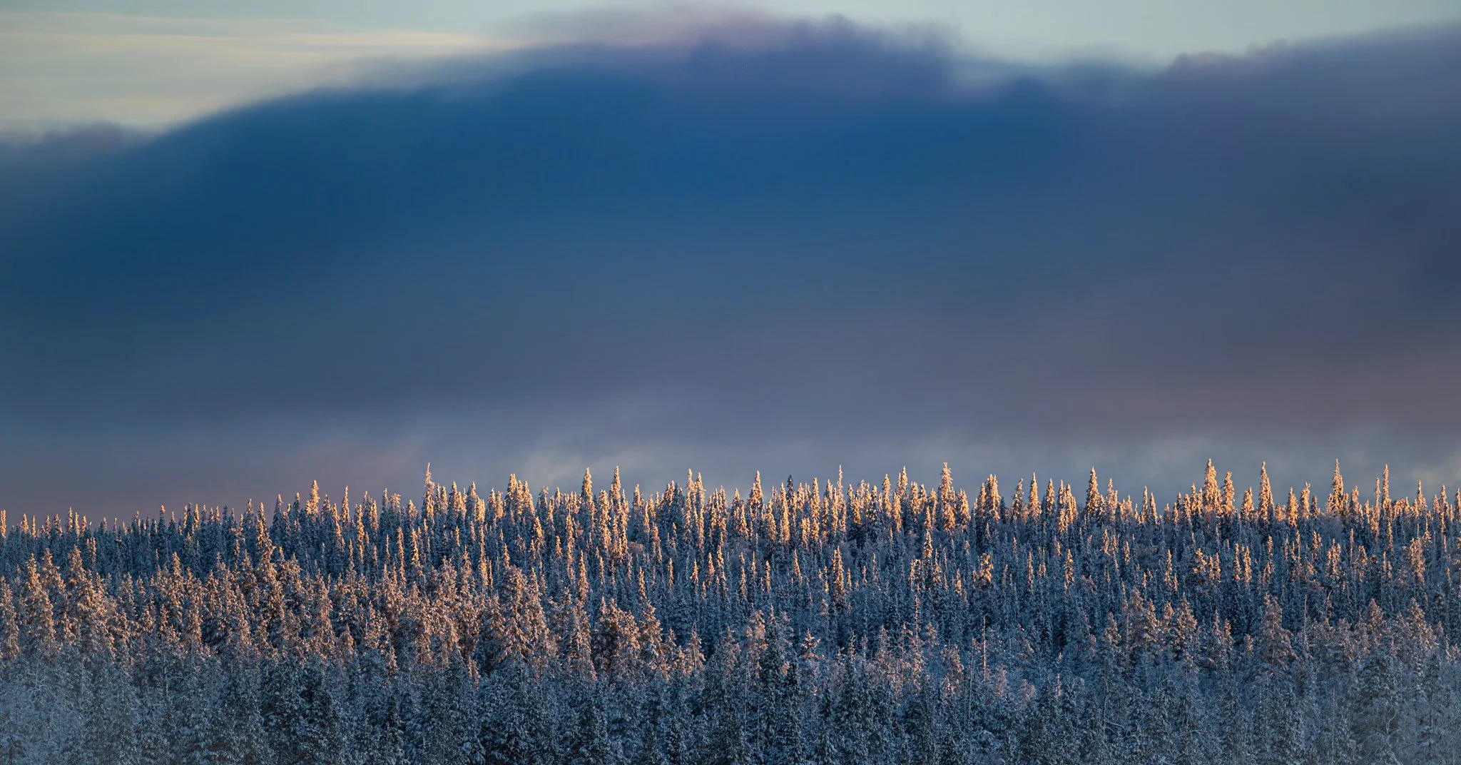 74L07681-Edit.jpg
