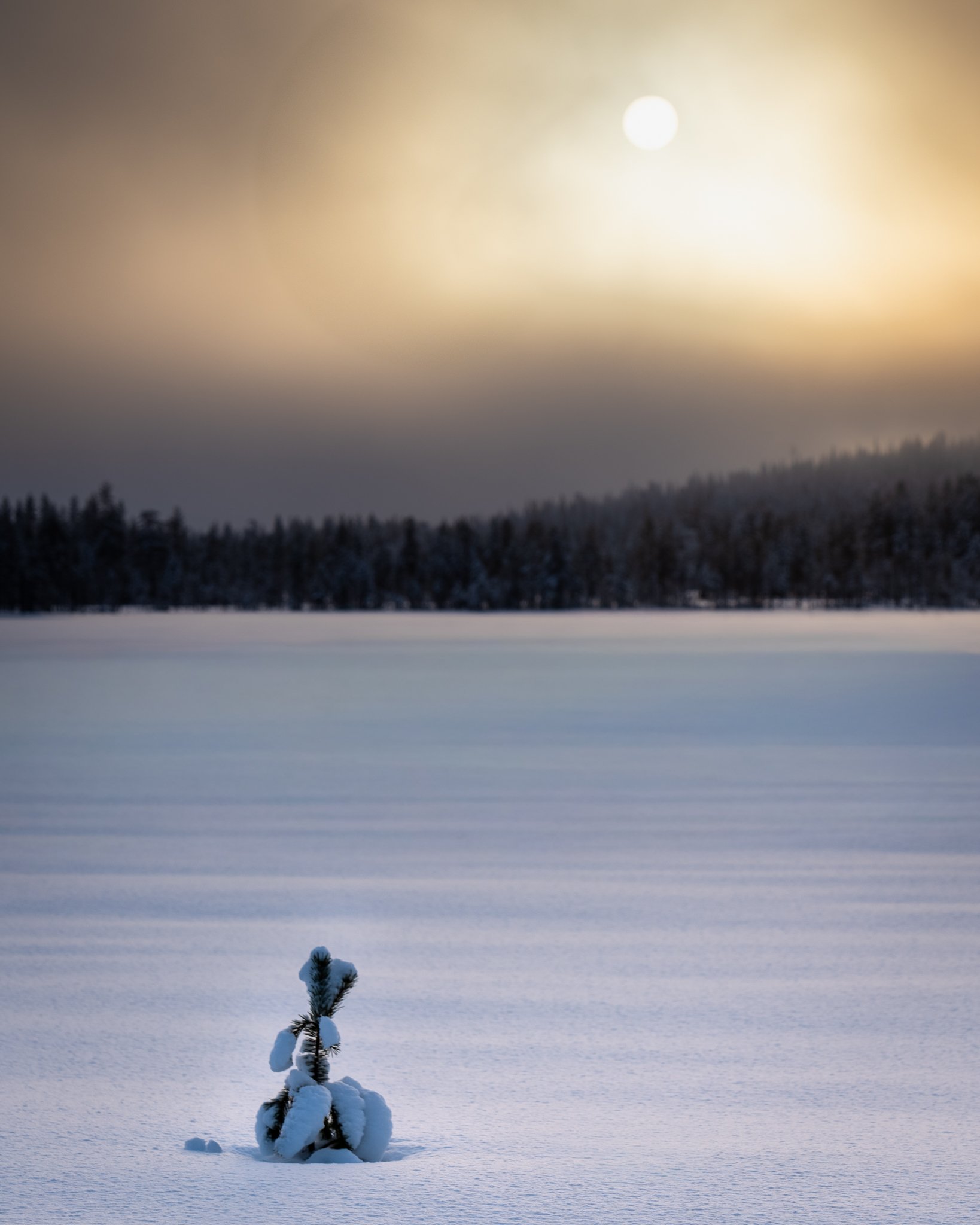 74L07506-HDR.jpg