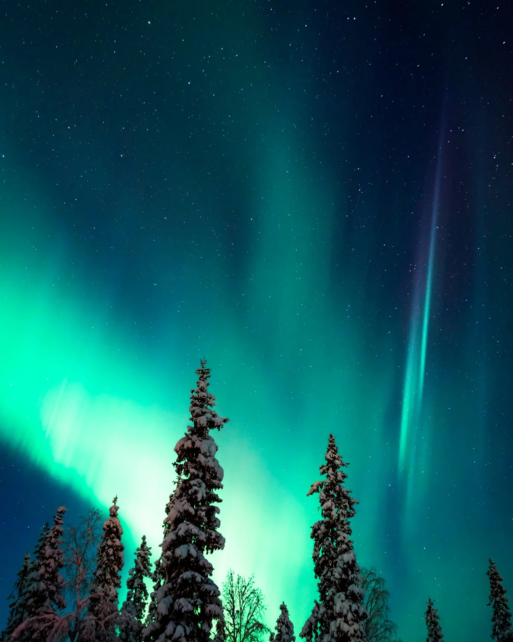 74C03675-Edit-1-Edit.jpg
