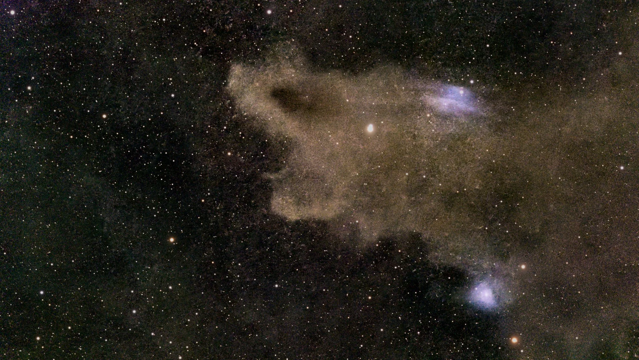 LDN 1235 - Dark shark nebula - 650 LYR