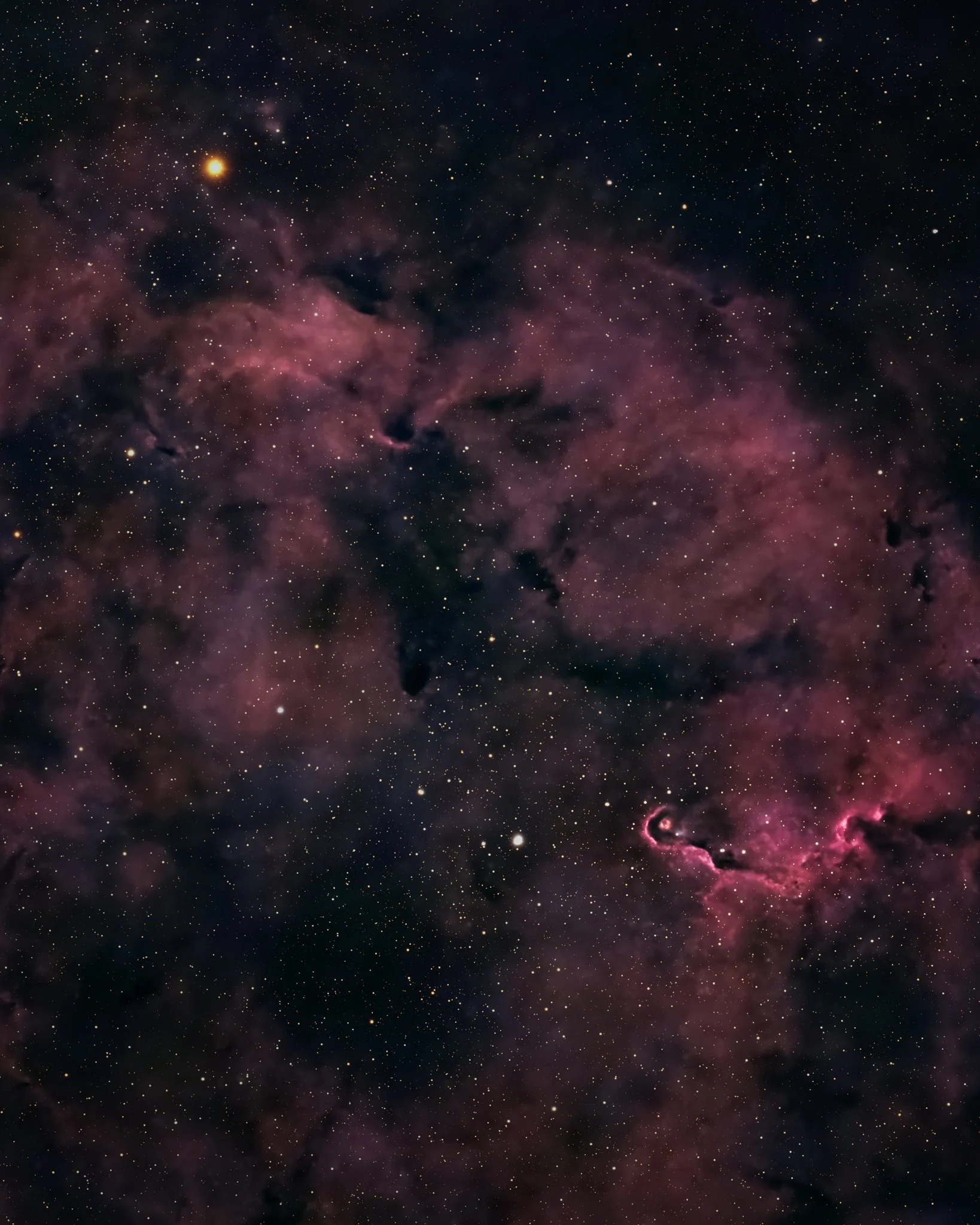 IC 1396 - Elephant trunk nebula - 2'400 LYR