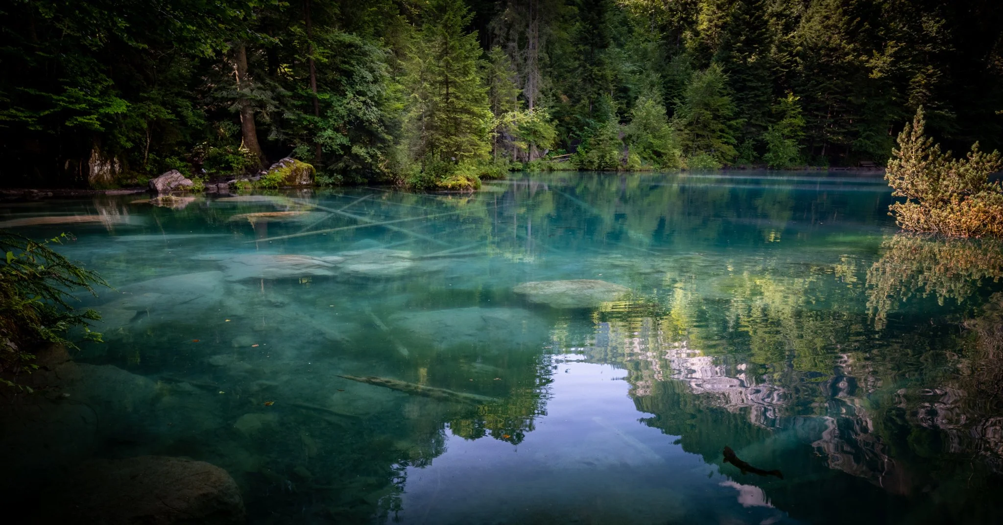 74L04847-HDR.jpg