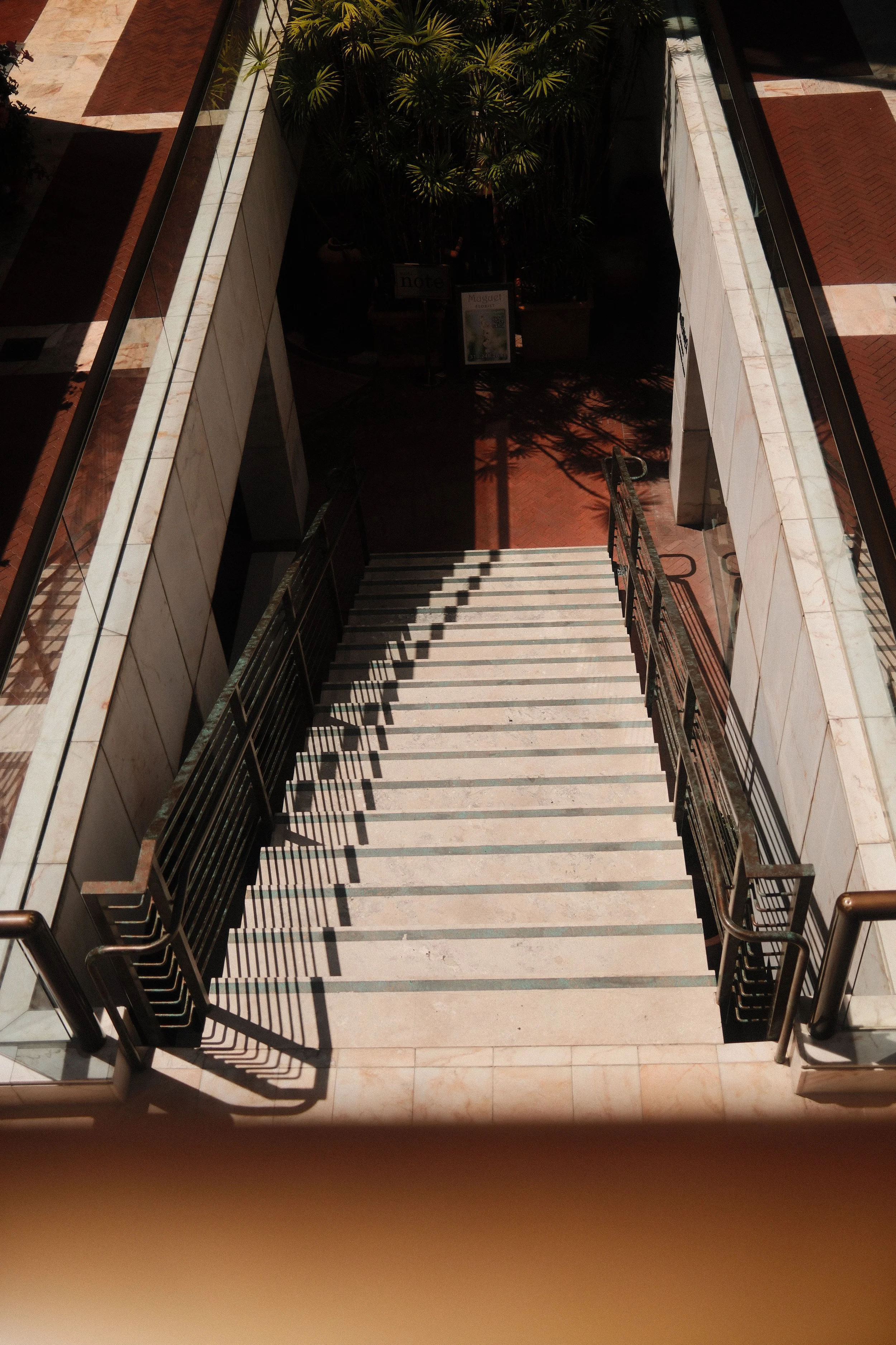 DSCF5330.JPG
