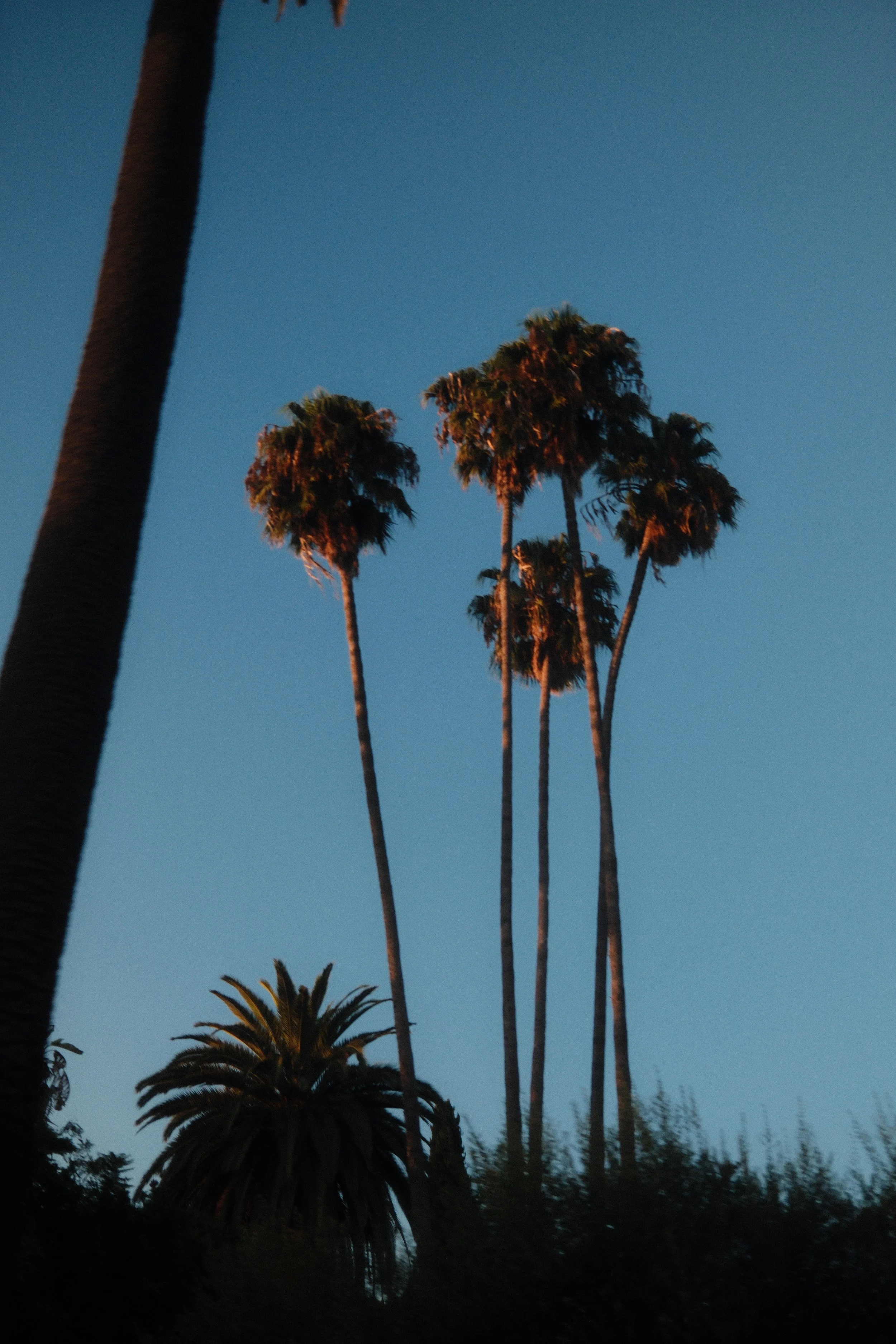 DSCF4976.JPG