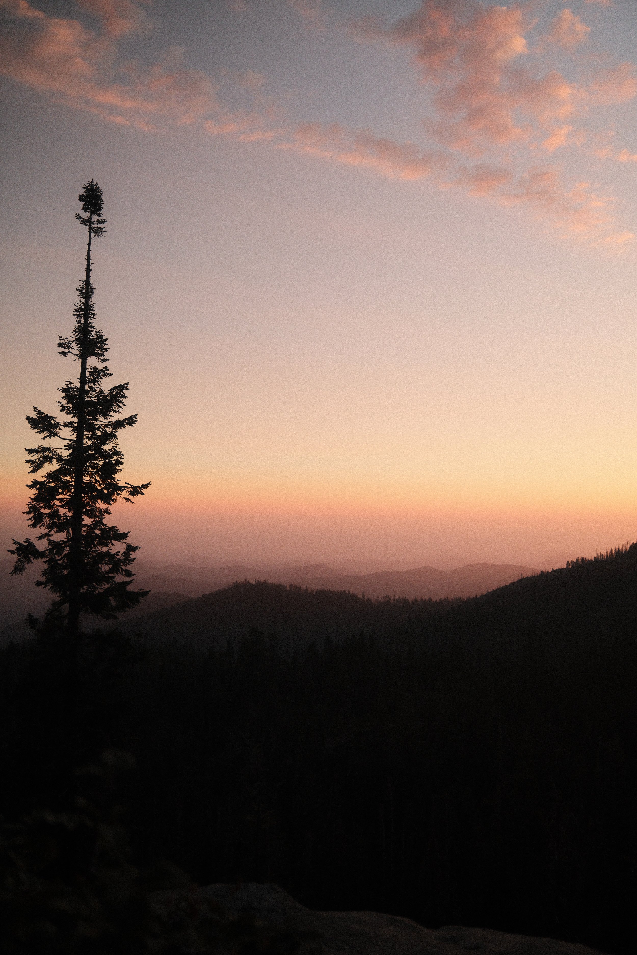 DSCF4655.JPG