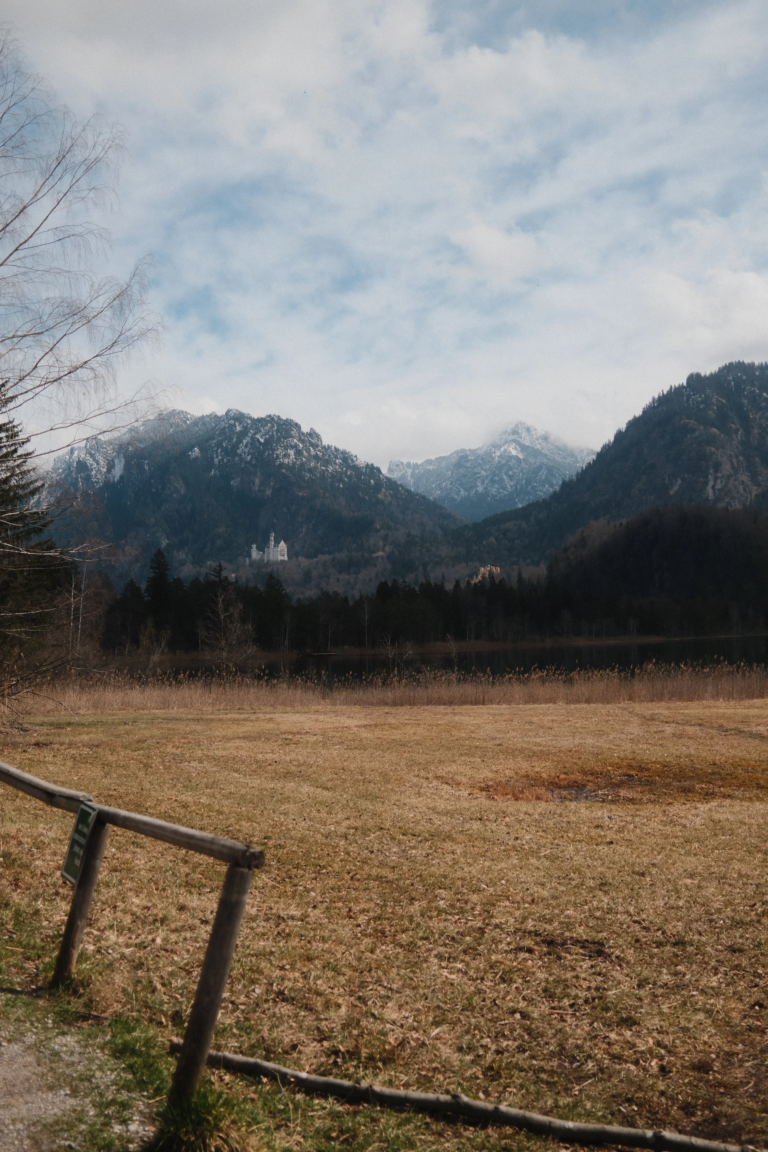 DSCF7561.JPG