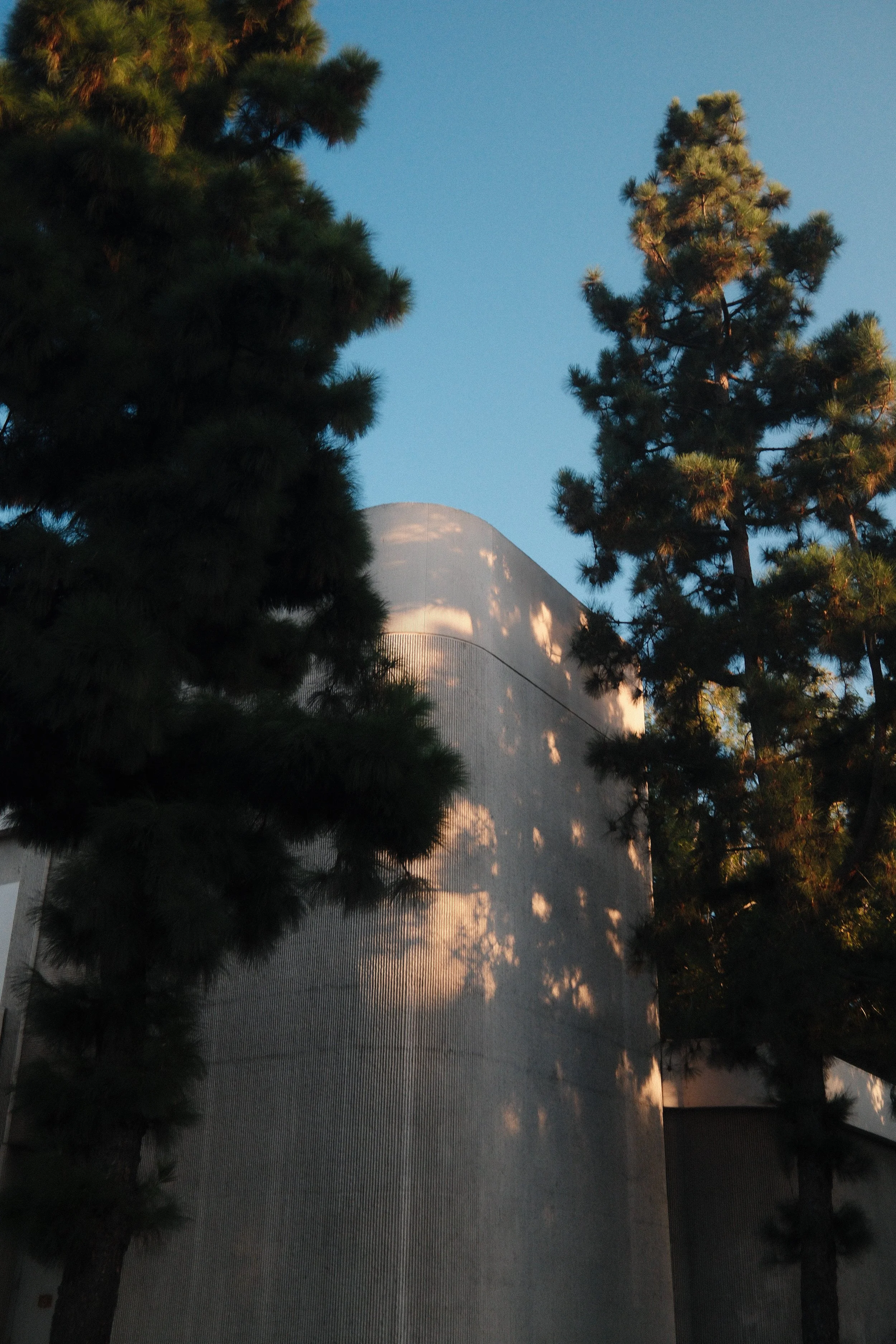 DSCF4934.JPG