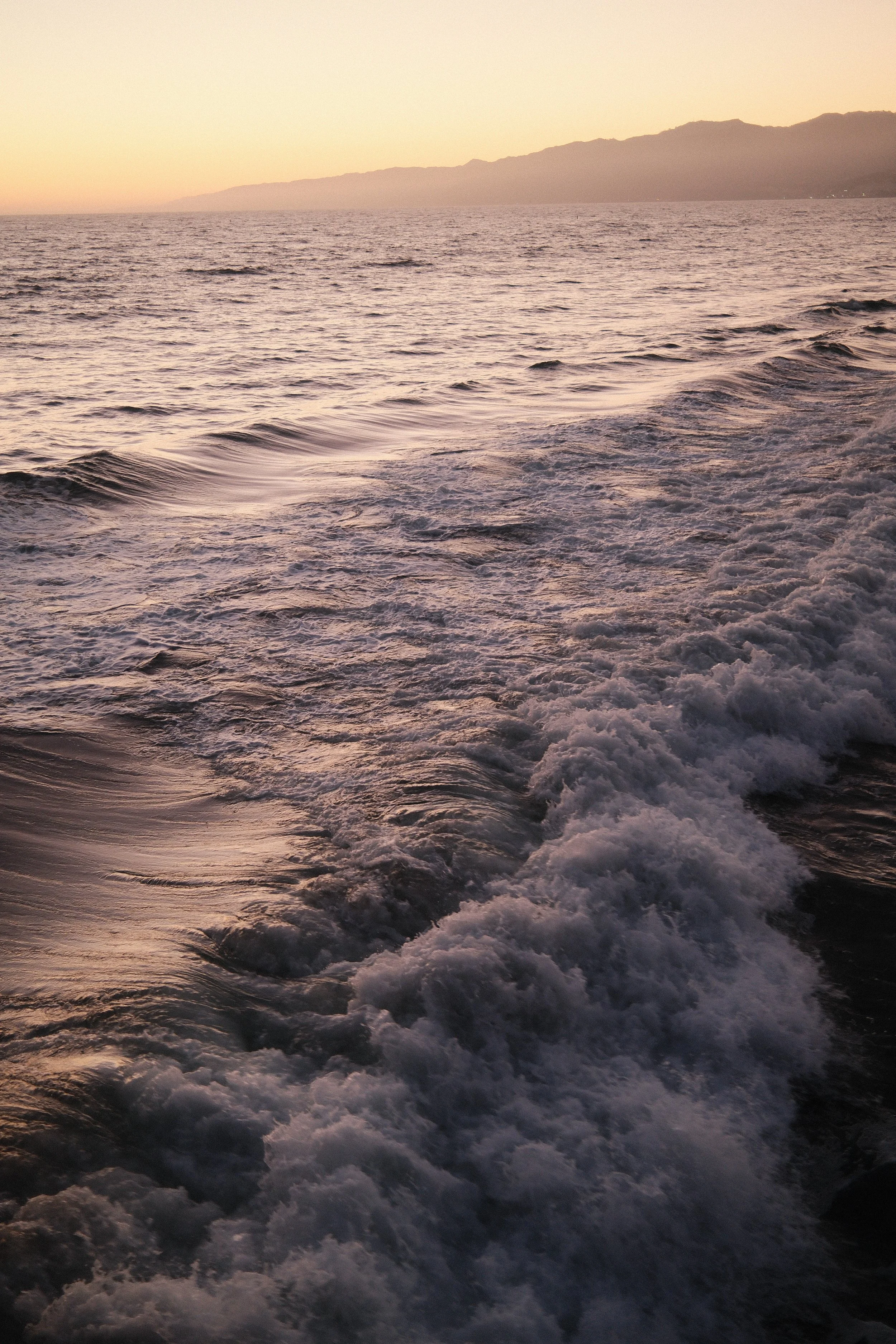 DSCF5625.JPG