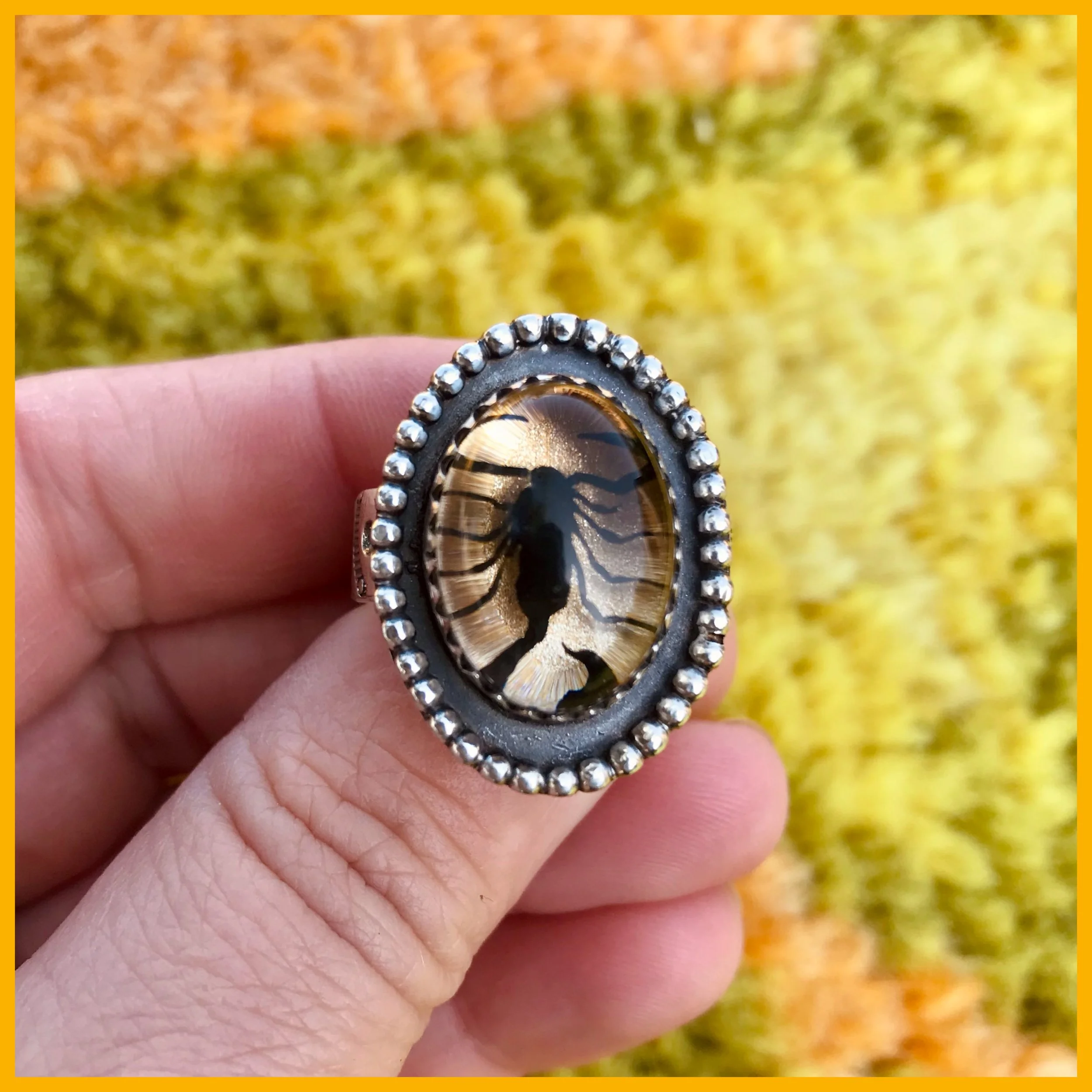 Whitagram-Image 9.JPG