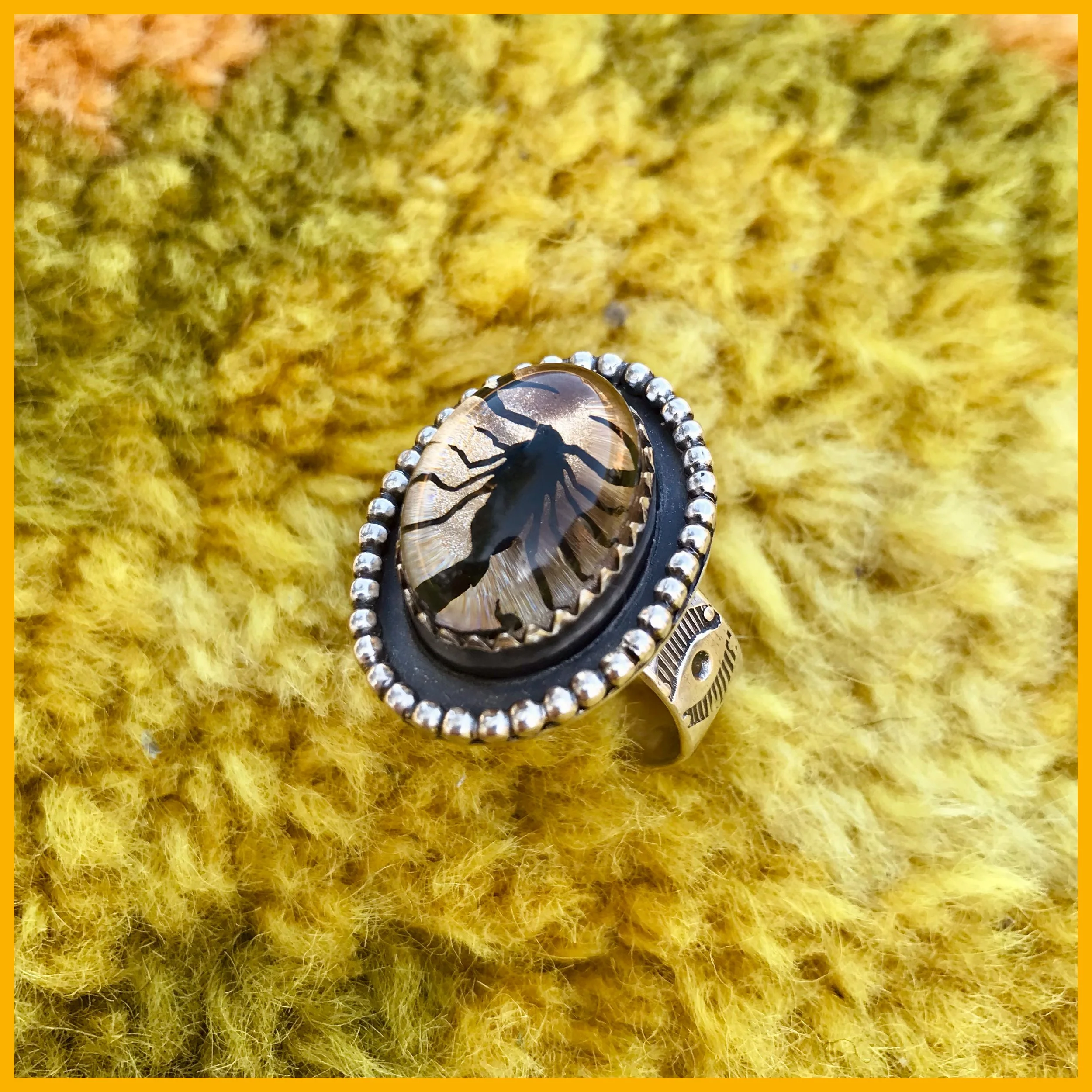 Whitagram-Image 13.JPG