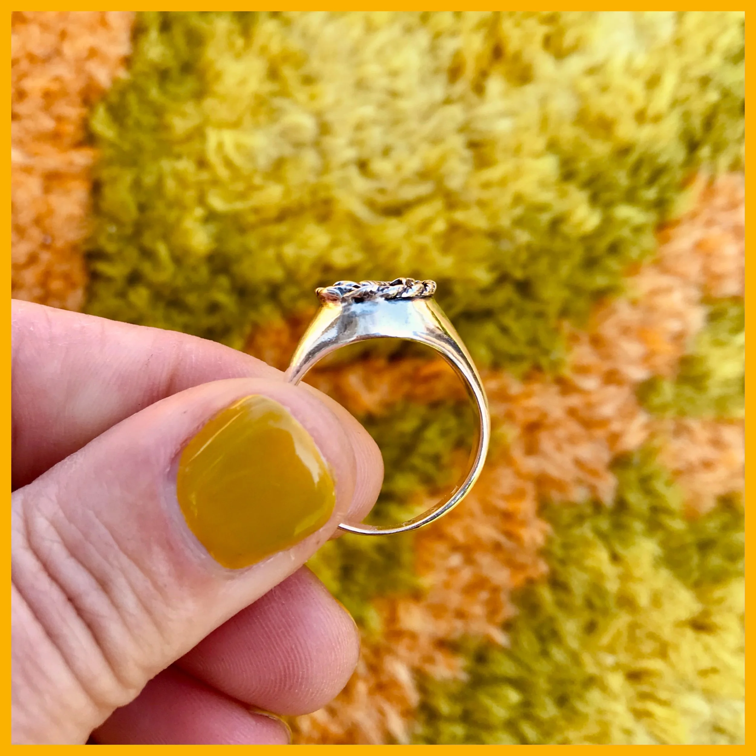 Whitagram-Image 19.JPG