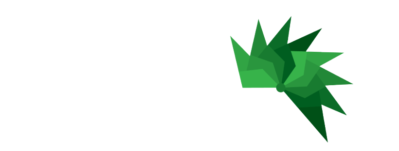Del Monsoon Interactive Technologies 