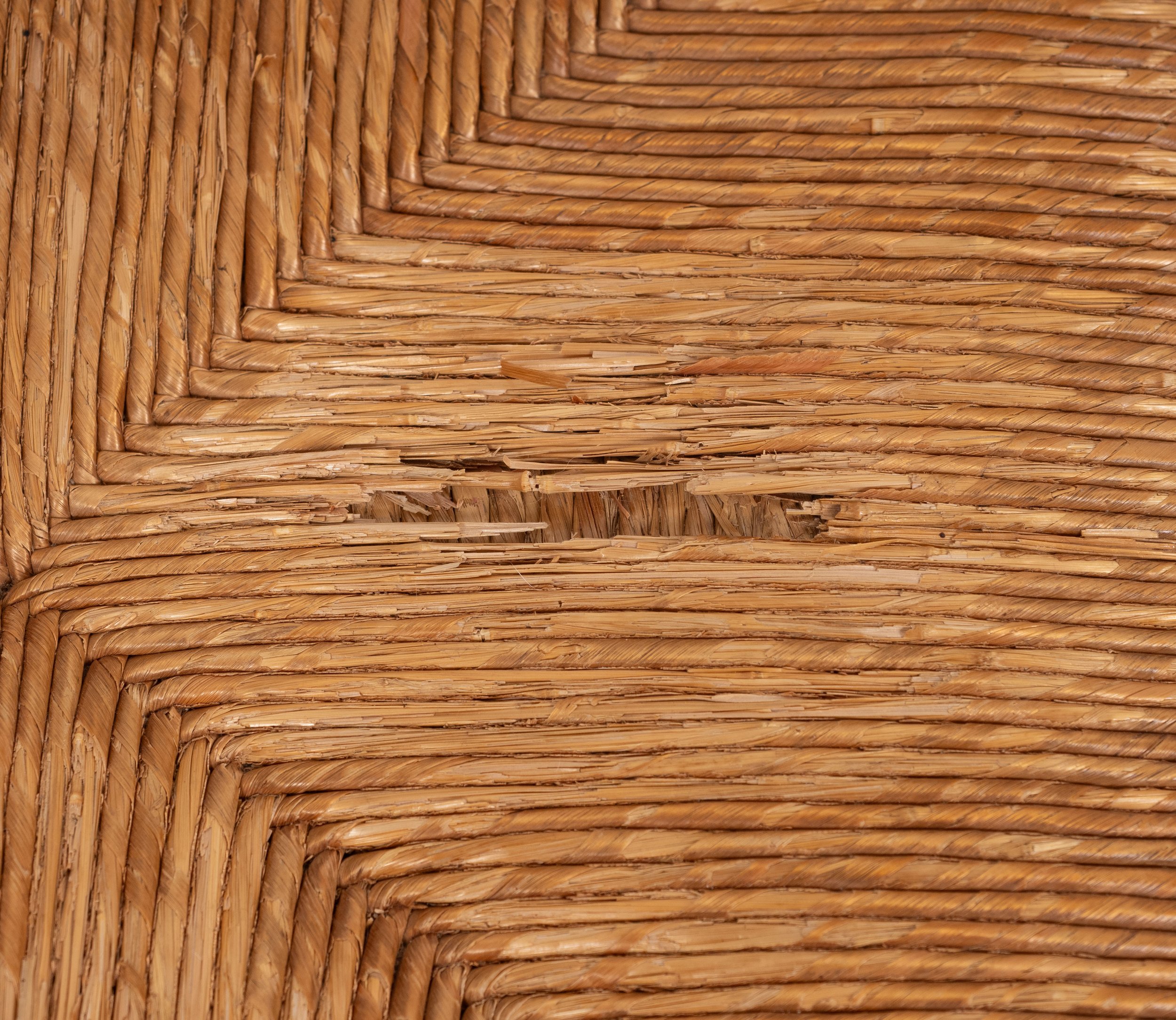 P1011321.jpg