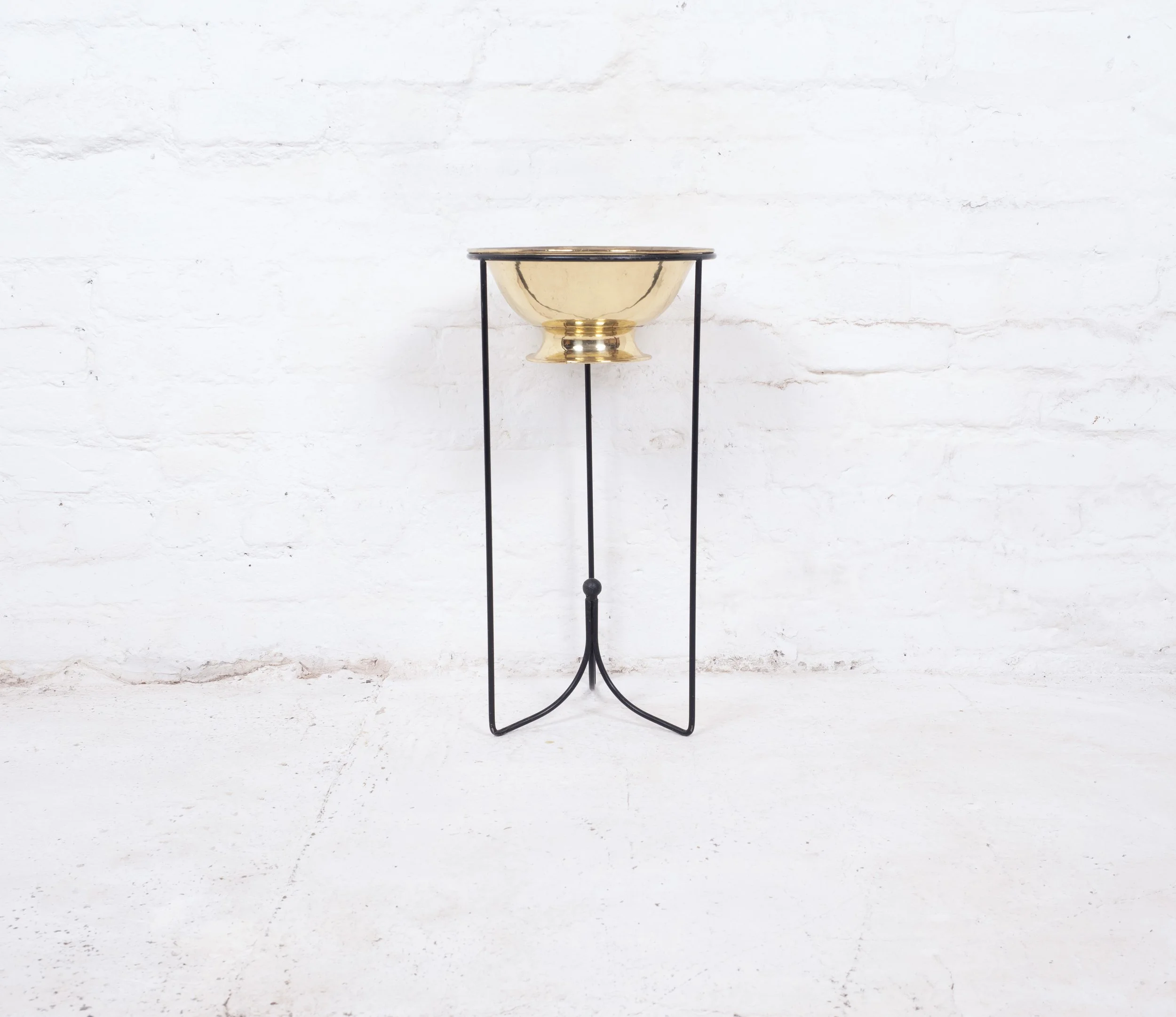 P1015637.jpg new.jpg