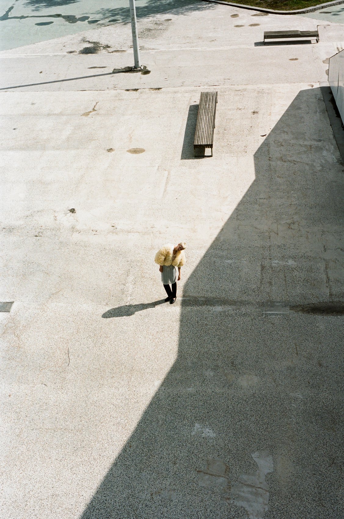 martin_brusewitz_13.jpg