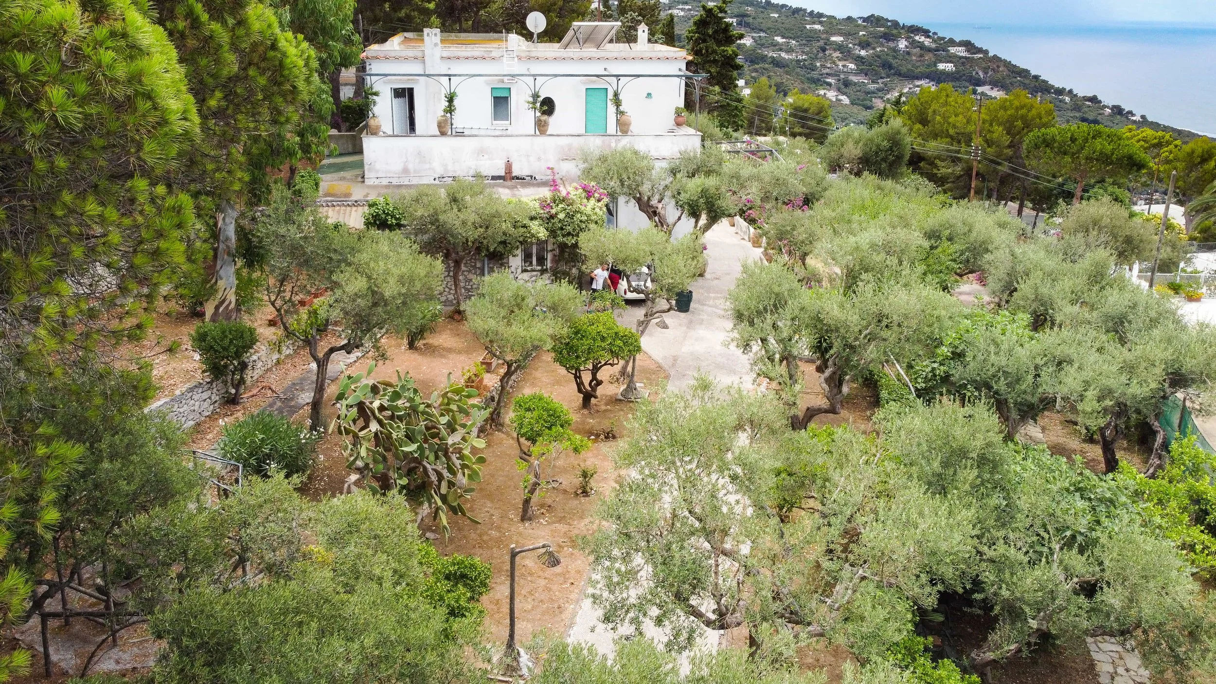 Drone Shot_B&B il Rifugio_Capri-8.jpg