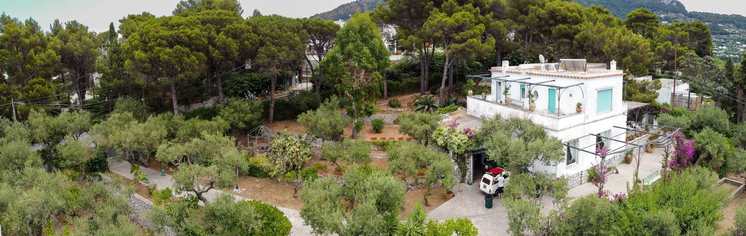 Drone Shot_B&B il Rifugio_Capri-12.jpg
