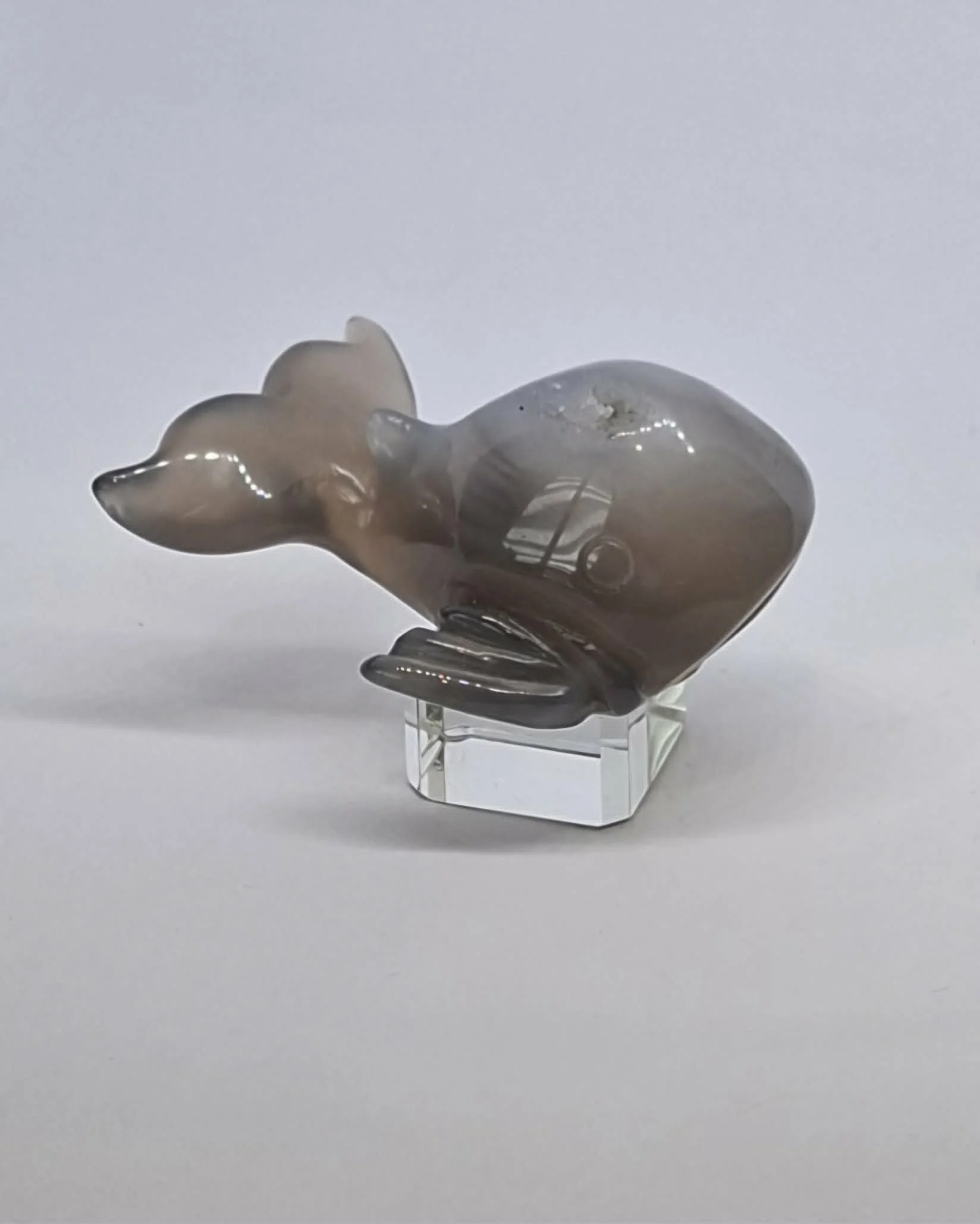Agate Whale