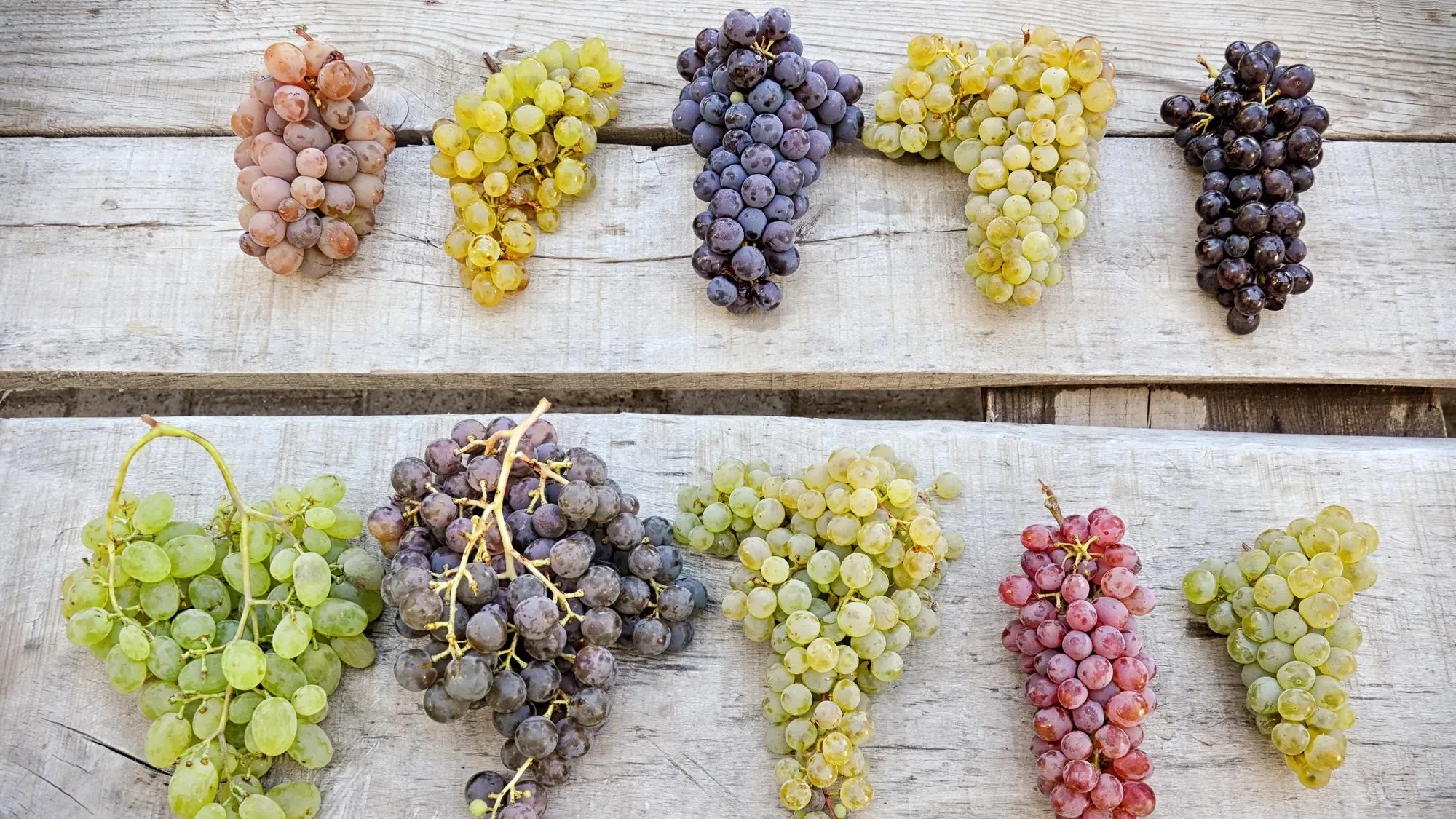 Melanie Wine Class: Obscure Italian Varietals                      Saturday 6/13  2:00pm-4:00pm