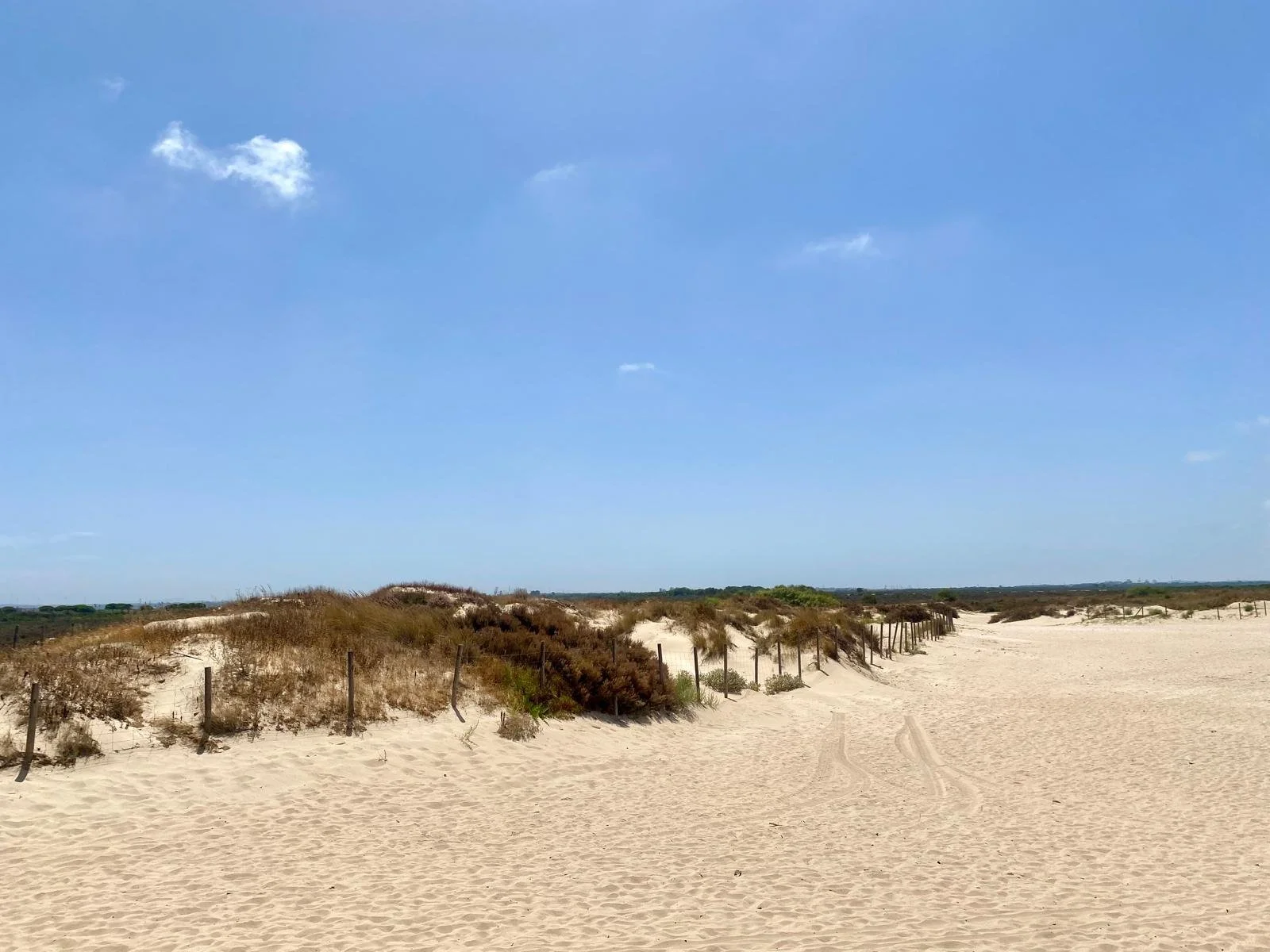 Urbanización Colomina - Puerto Principe - Valdelagrana - Cádiz (5).jpeg