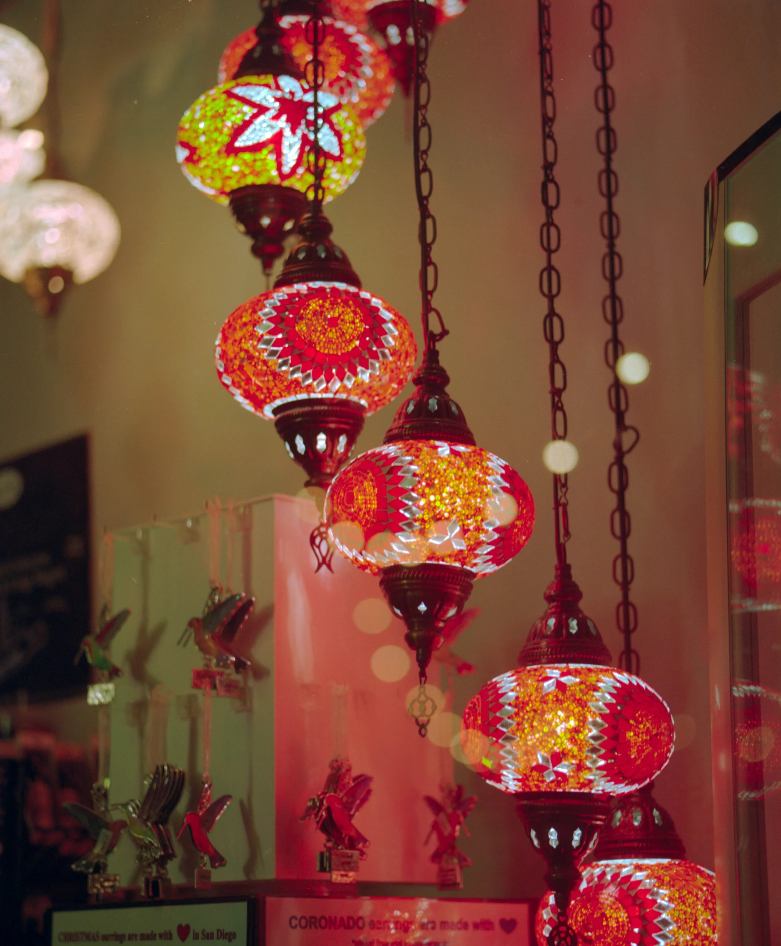 portra 800 6 9 13.jpg