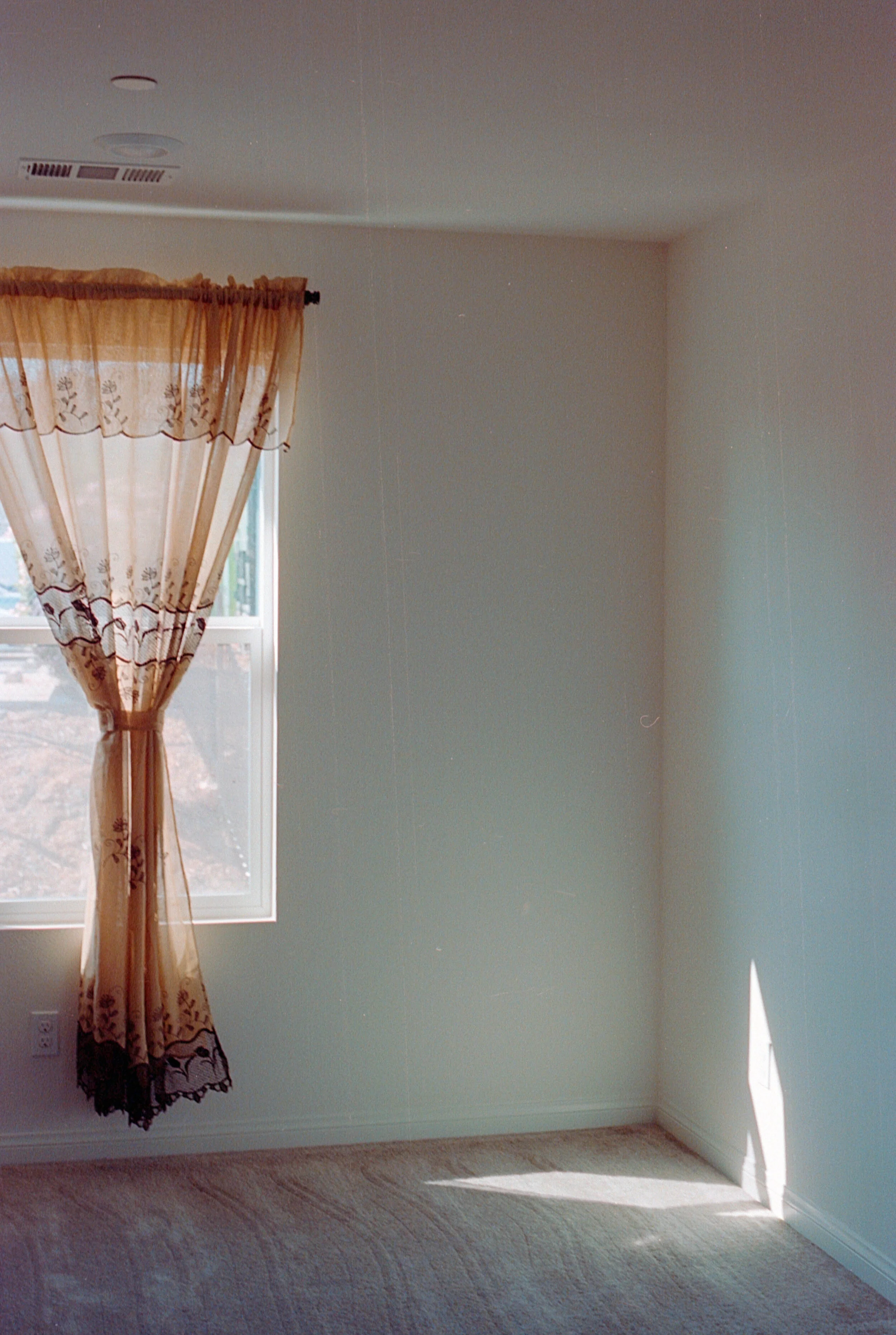 sheeesh (8 of 13).jpg