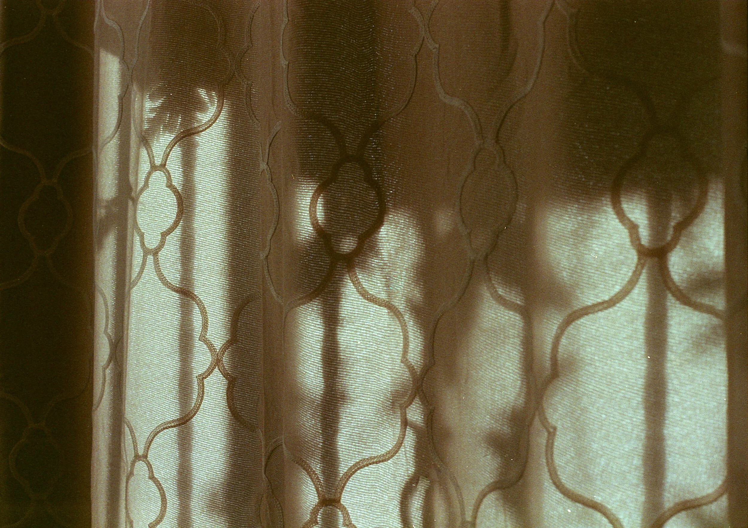 Kodak UltraMax 400-5.jpg