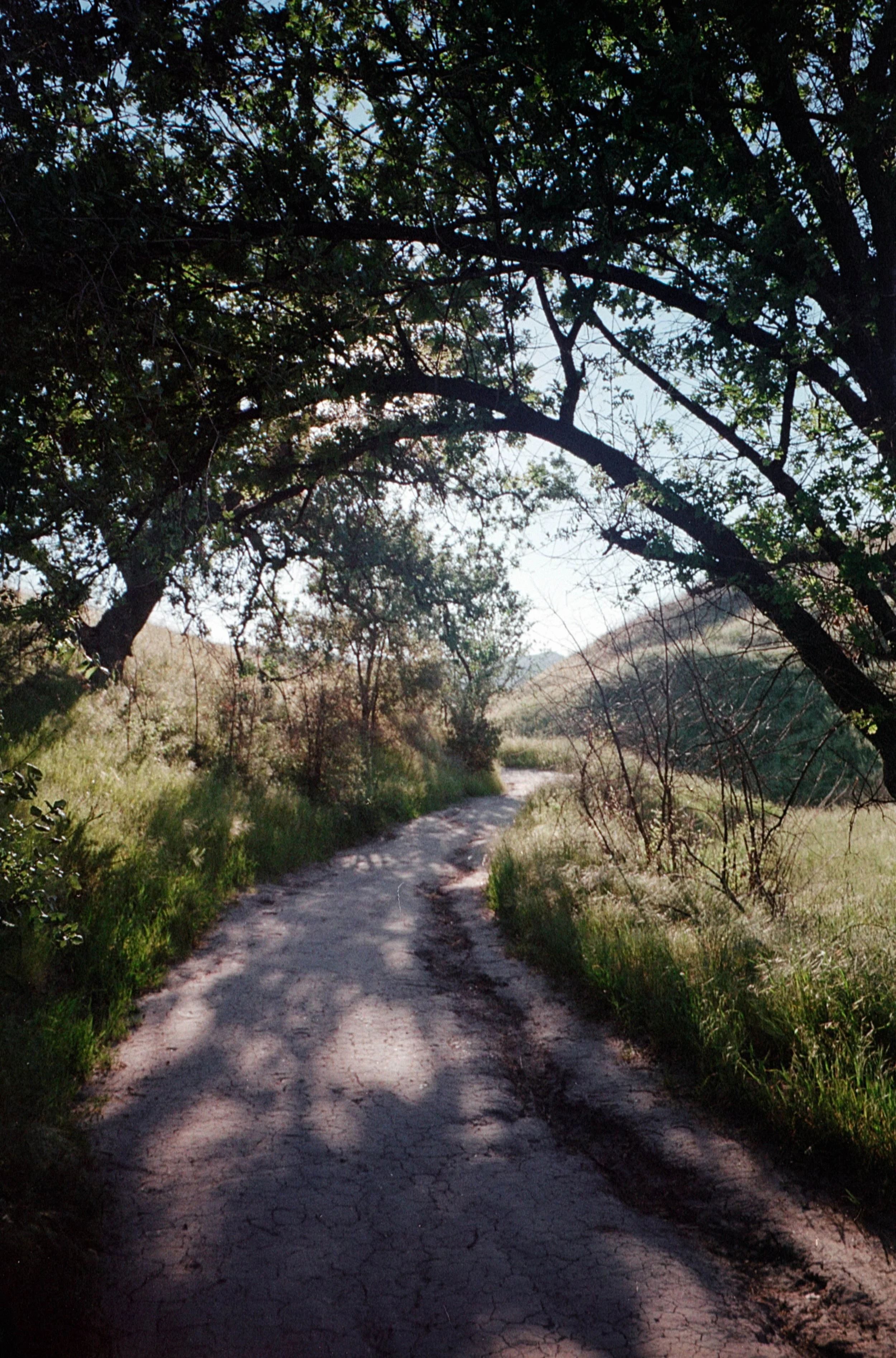 TVS Gold 200 LA 17.jpg