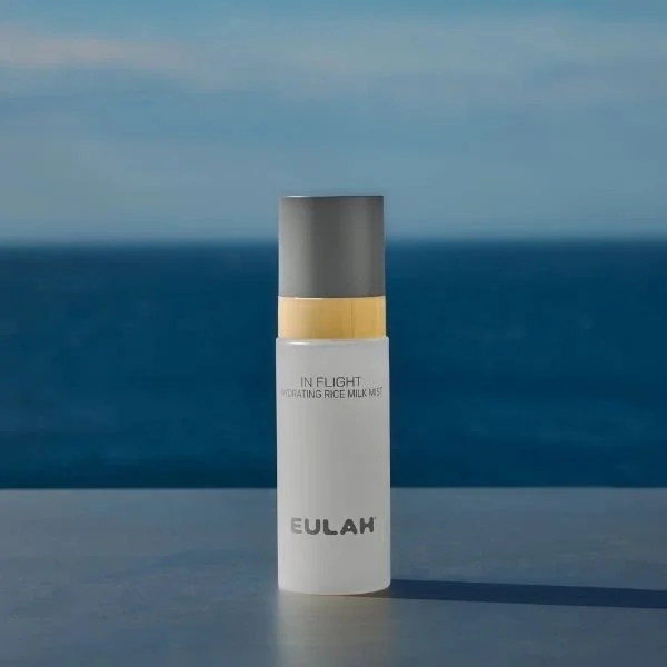 Eulah In Flight with sea in background