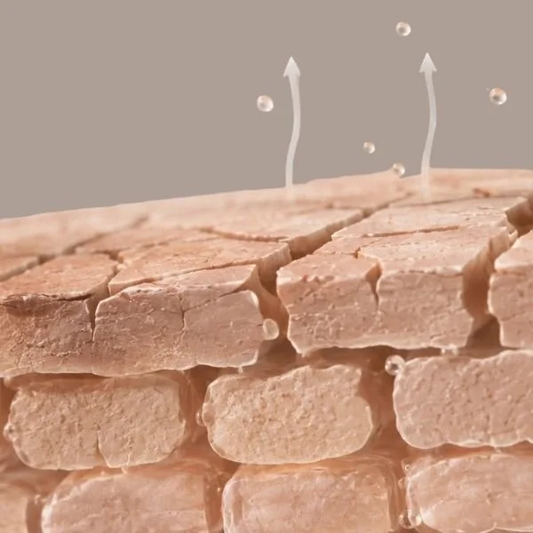 An illustration of a skin barrier losing moisture