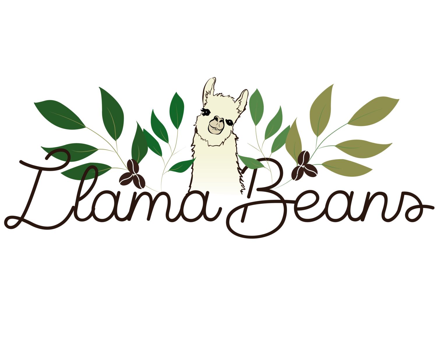Llama Beans Coffee