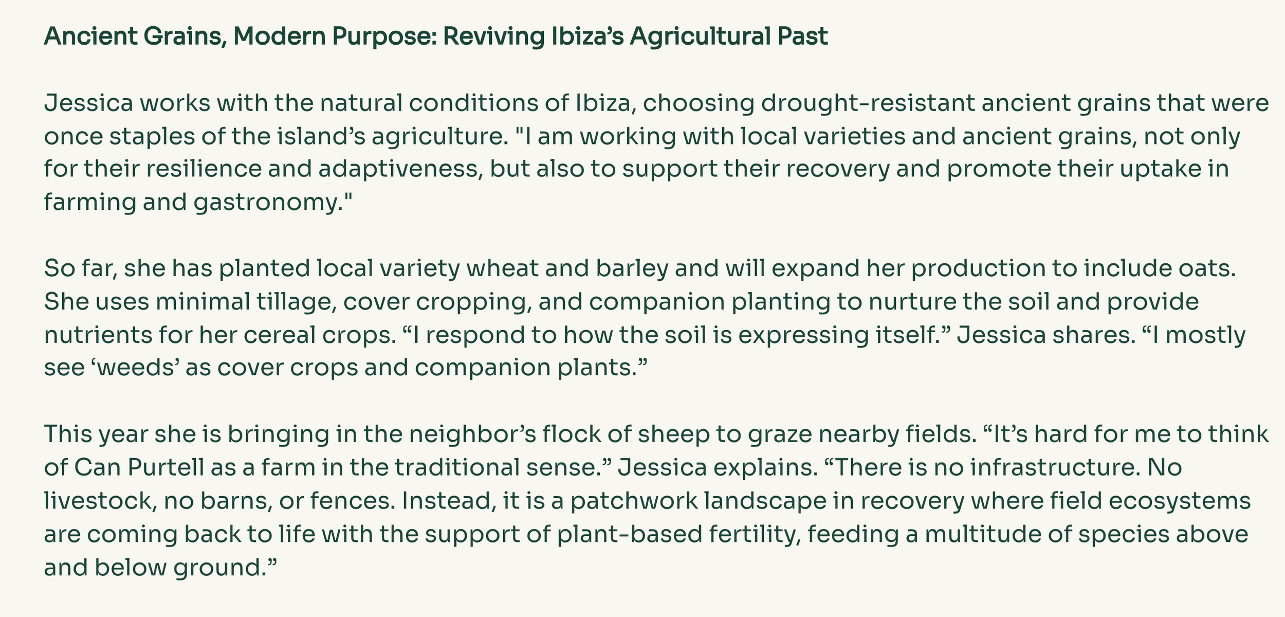 Screenshot 2026-02-11 at 19.49.55.png