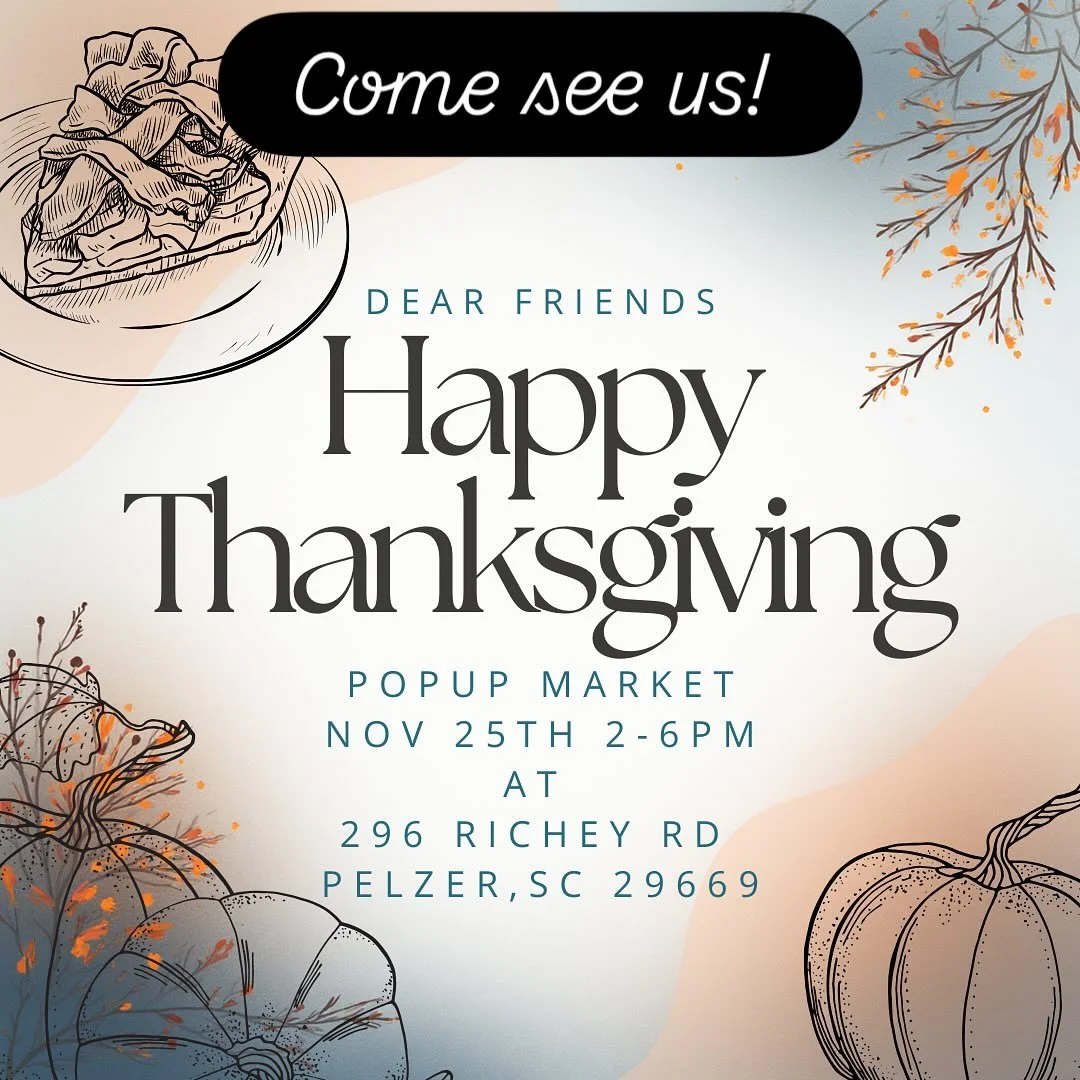 We hope to see you! 11/25 2-6
