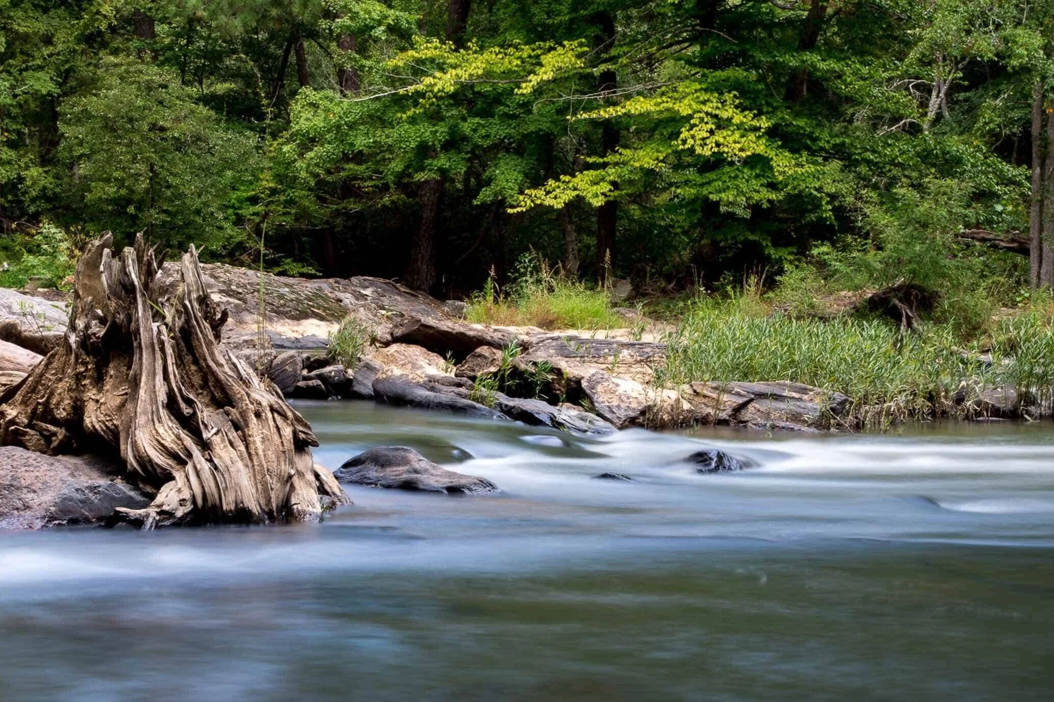 Sweetwater Creek State Park Hike n Paddle