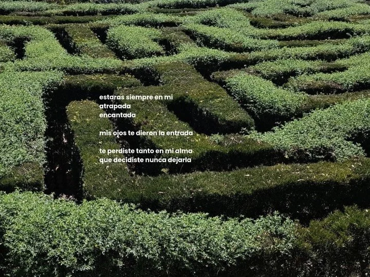 me gusta mucho escribir aqu&iacute; tienen varios pensamientos que me gustaron 

unos bonitos otros t&eacute;tricos 

record&aacute;ndome que yo y todo lo que hago es pura poes&iacute;a