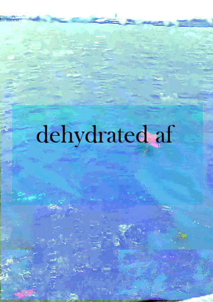 dehydrated1.png
