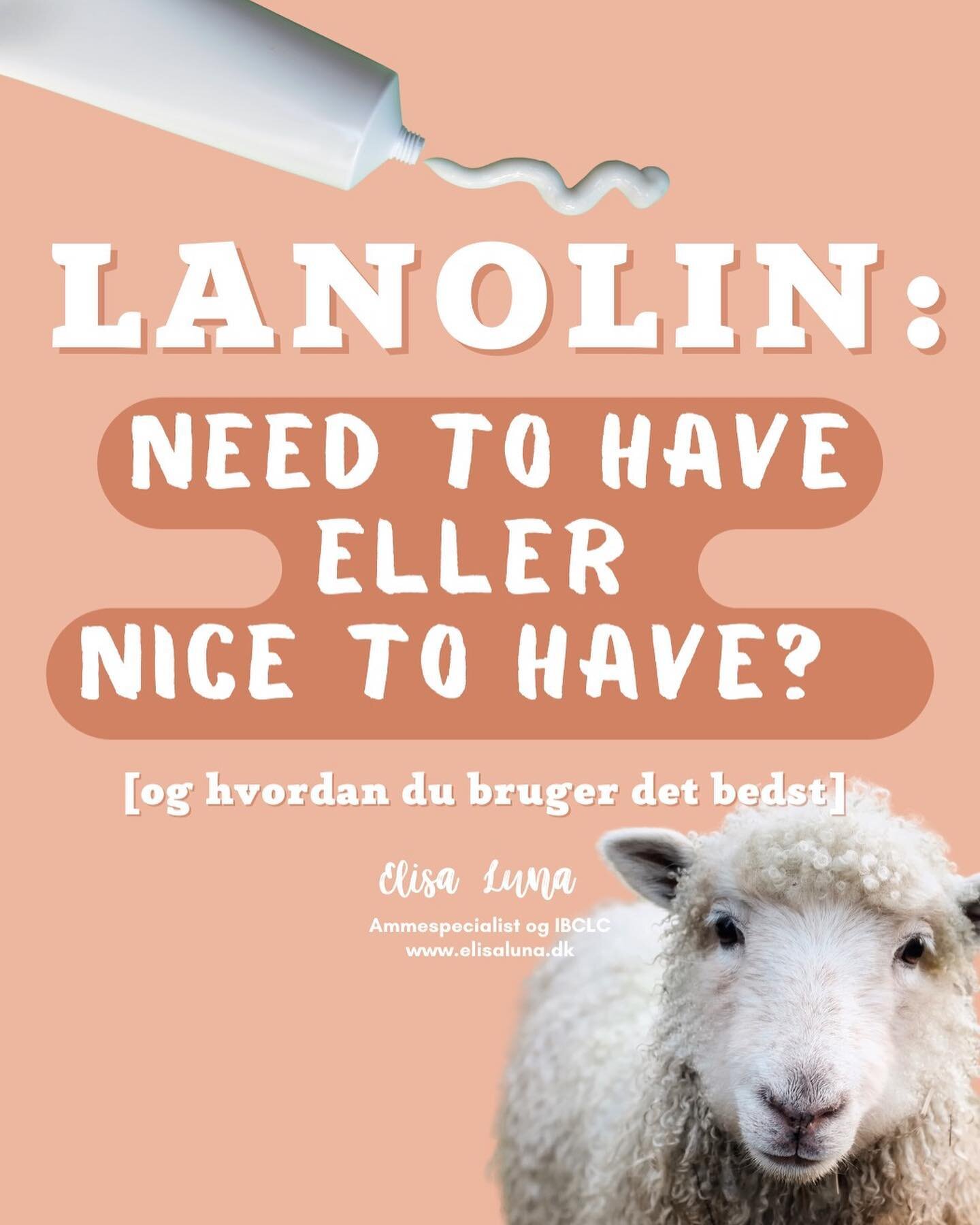 🐑🌿 Lanolin: Need to have eller nice to have?

👋 Det kan v&aelig;re sv&aelig;rt at navigere i de produkter der er p&aring; markedet til ammende og s&aelig;rligt lanolin-salve er for mange et go-to produkt, der omtales som b&aring;de at virke foreby