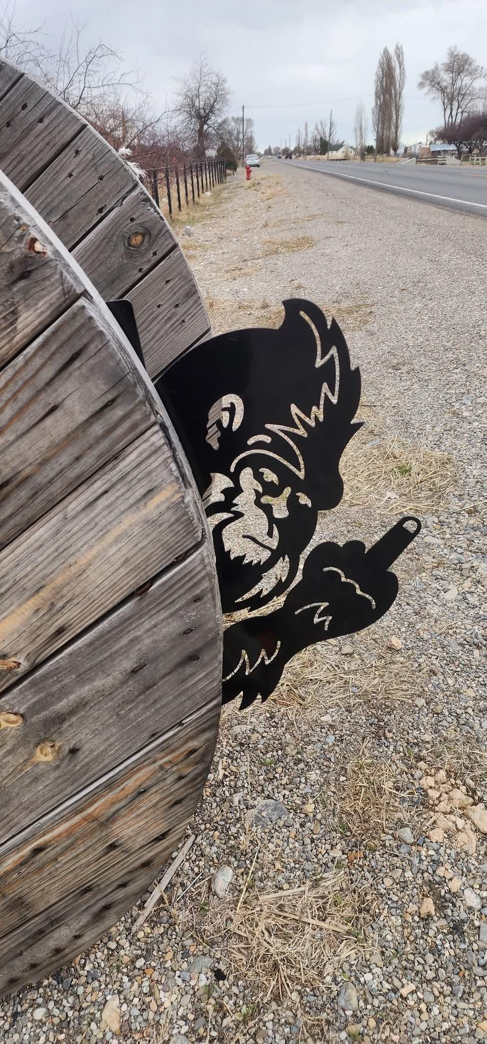 https://i.etsystatic.com/36394708/r/il/14b261/6754245882/il_fullxfull.6754245882_k6xt.jpg