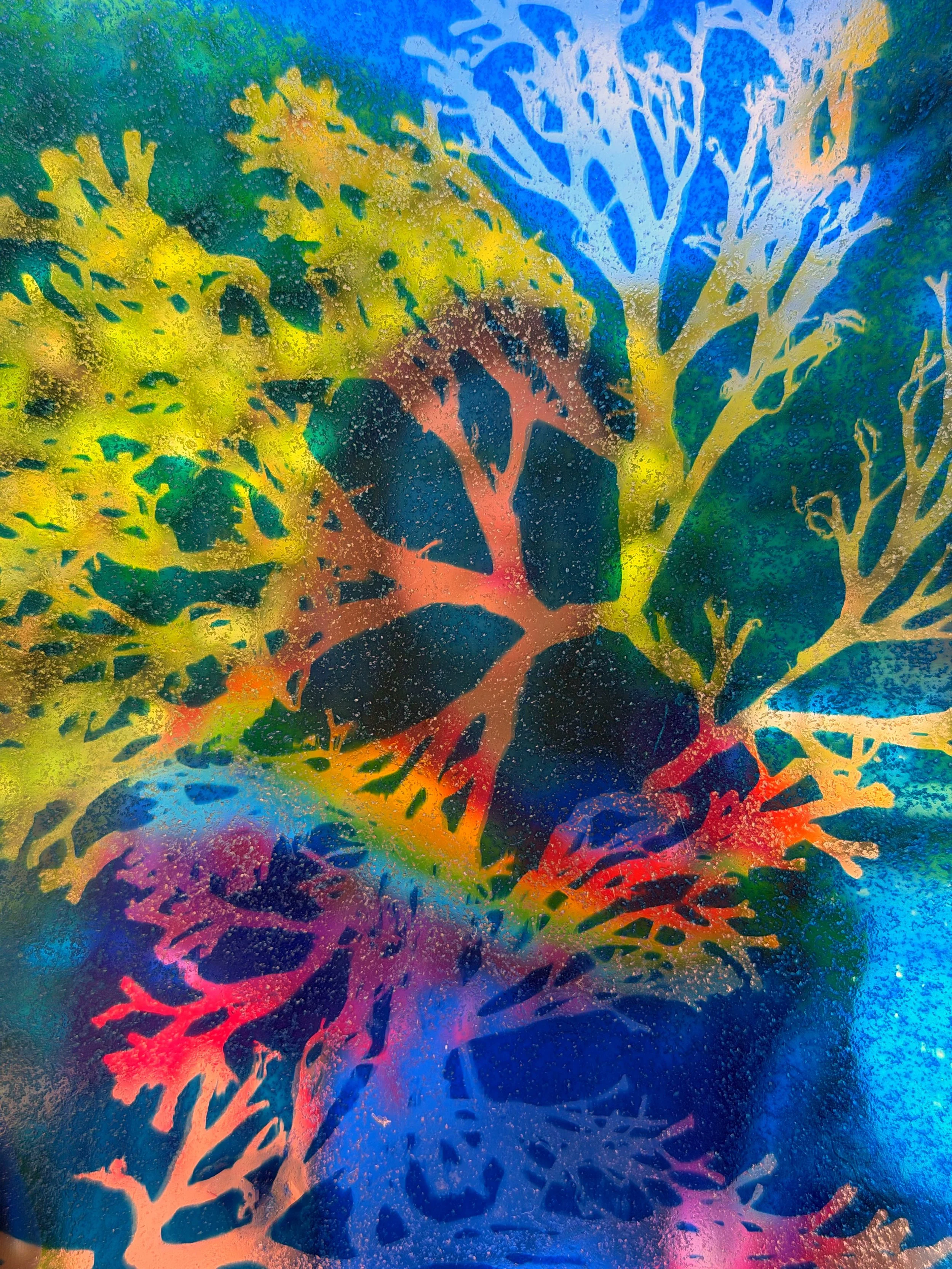 cyanotypeonglassme2026.jpg