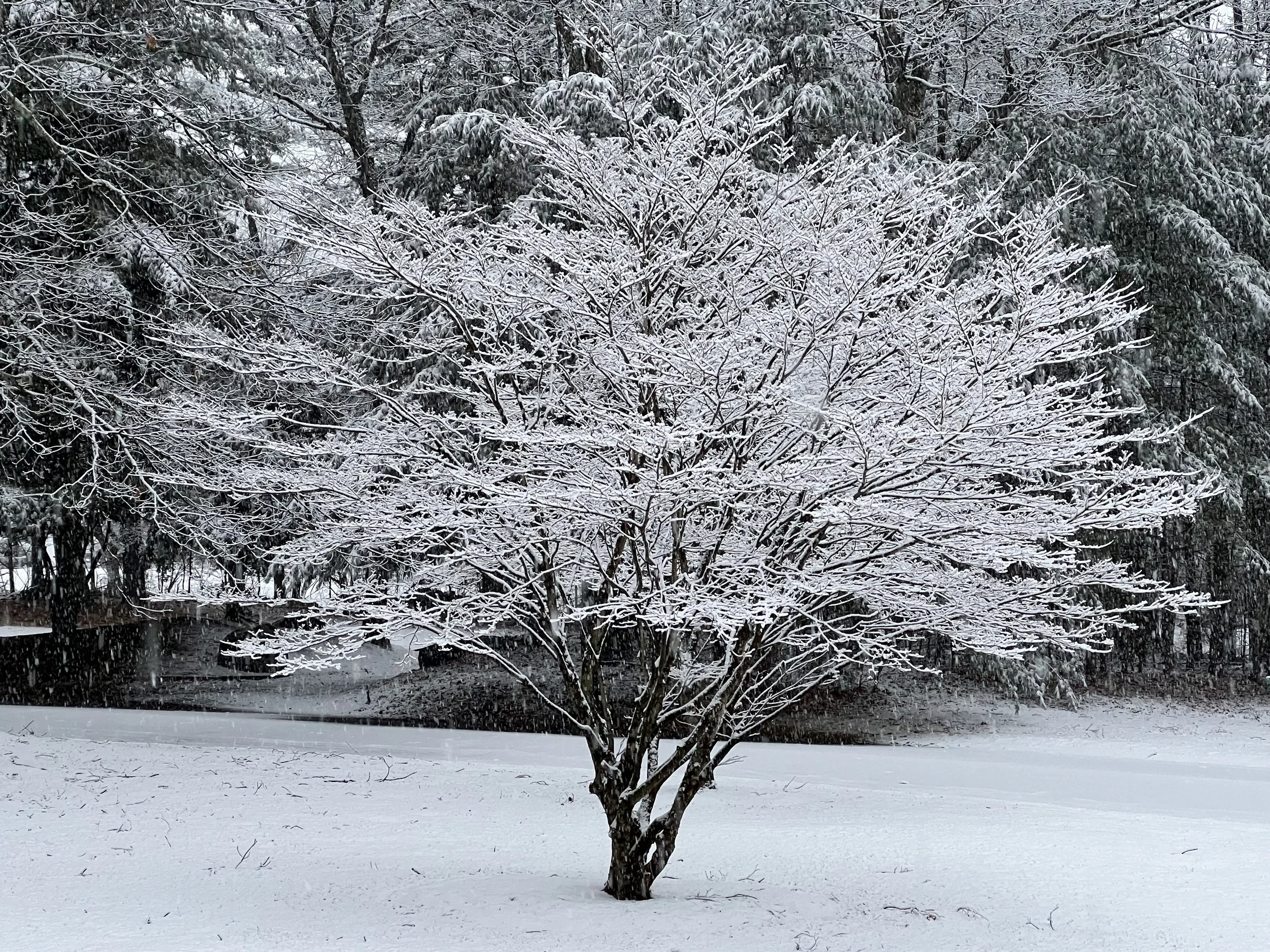 Move Because You Can