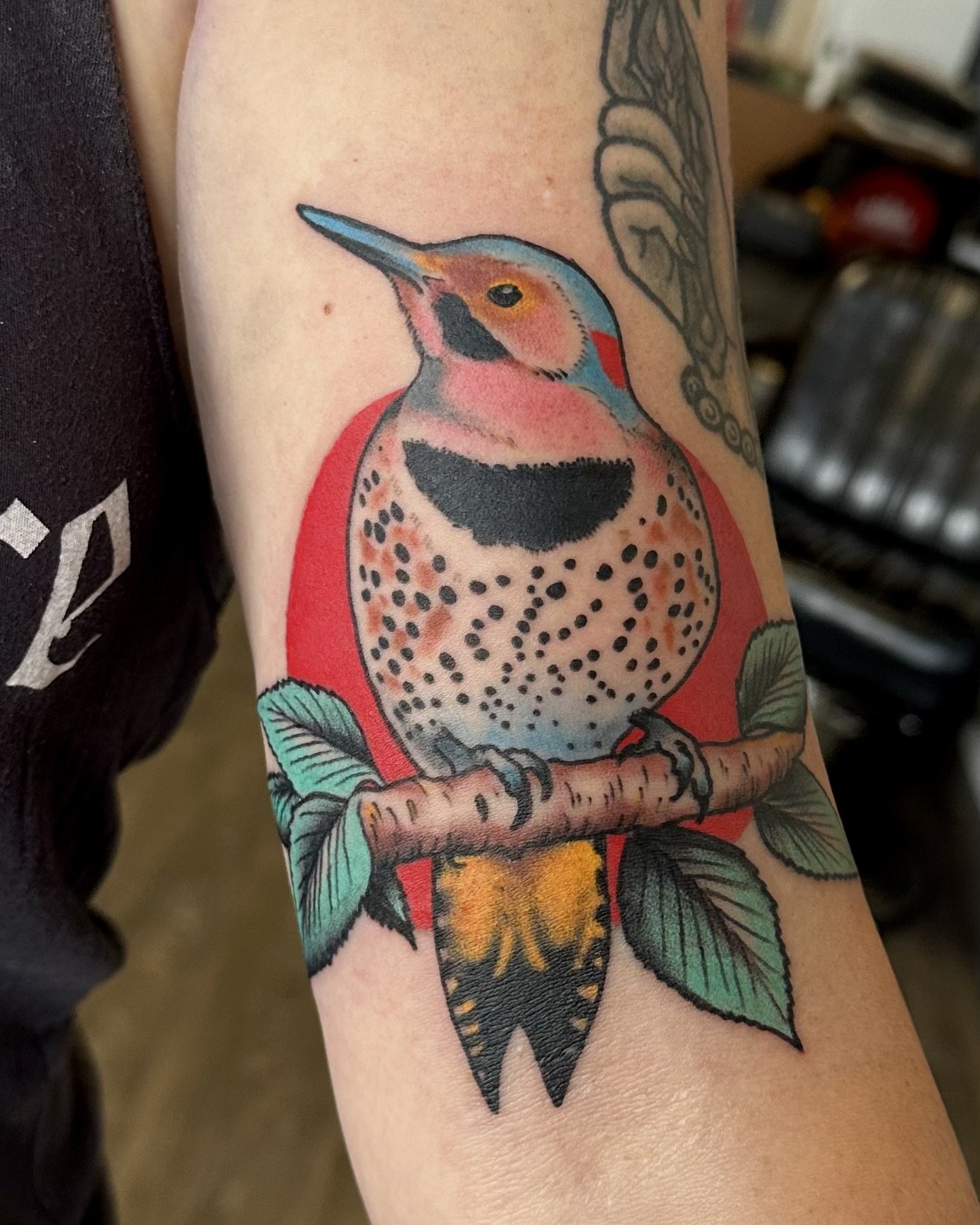 Colorful tattoo of a bird, possibly a woodpecker, sitting on a branch with green leaves, on a person's arm.