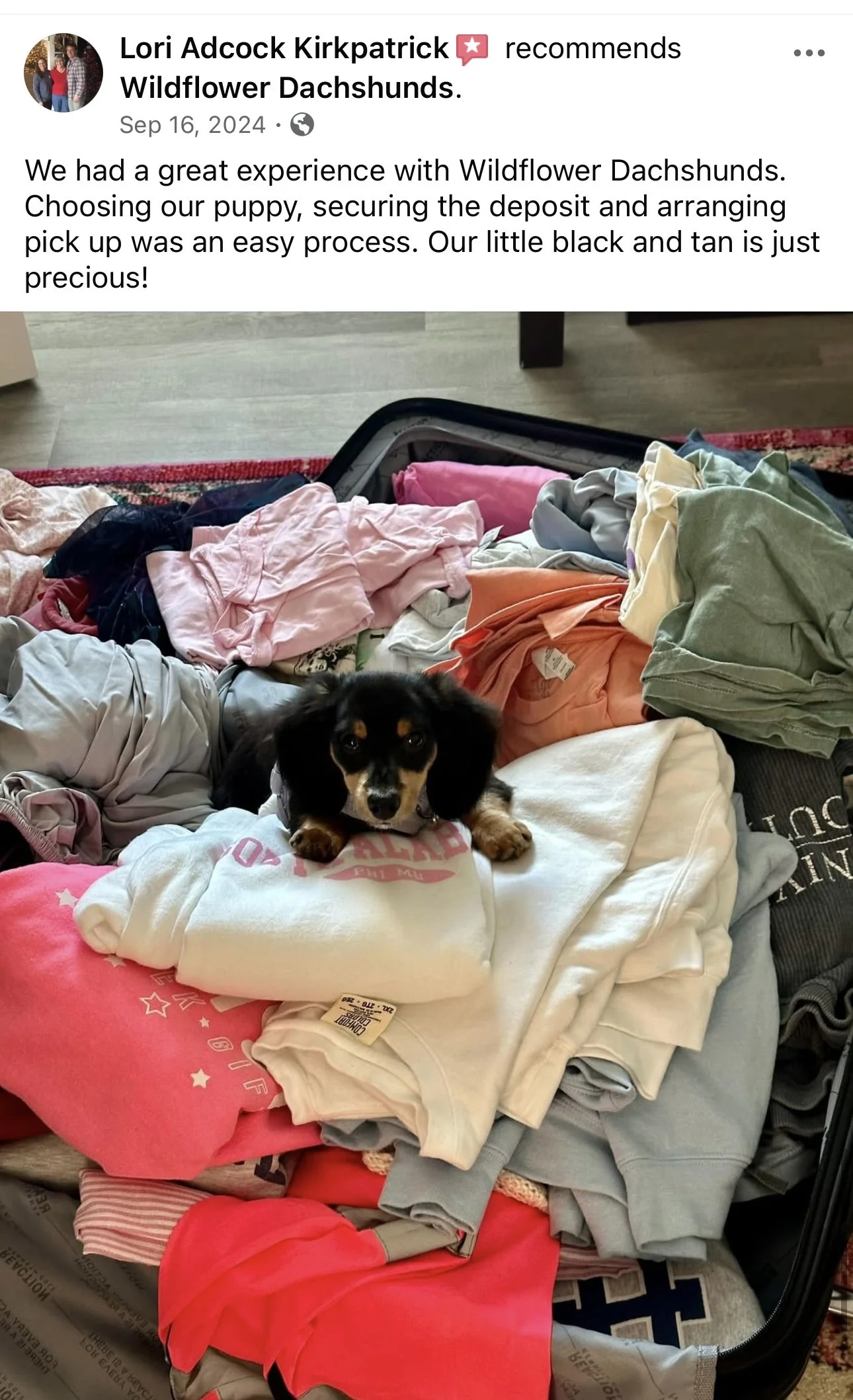 A small black and tan puppy laying on a pile of folded clothes and fabric inside a suitcase, surrounded by various clothing items in different colors and fabrics.