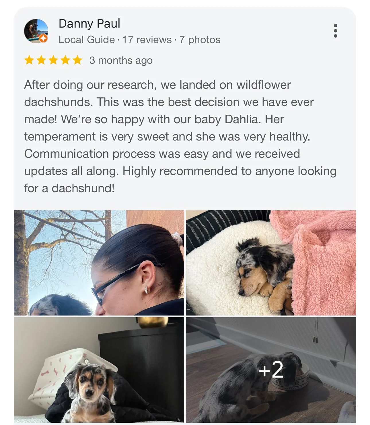 Screenshots of a customer review about a dachshund puppy named Dahlia, including four photos of the puppy: one with a woman outside, one sleeping on a fluffy bed with pink blanket, one sitting on a bed with a pillow, and one eating from a bowl. The r