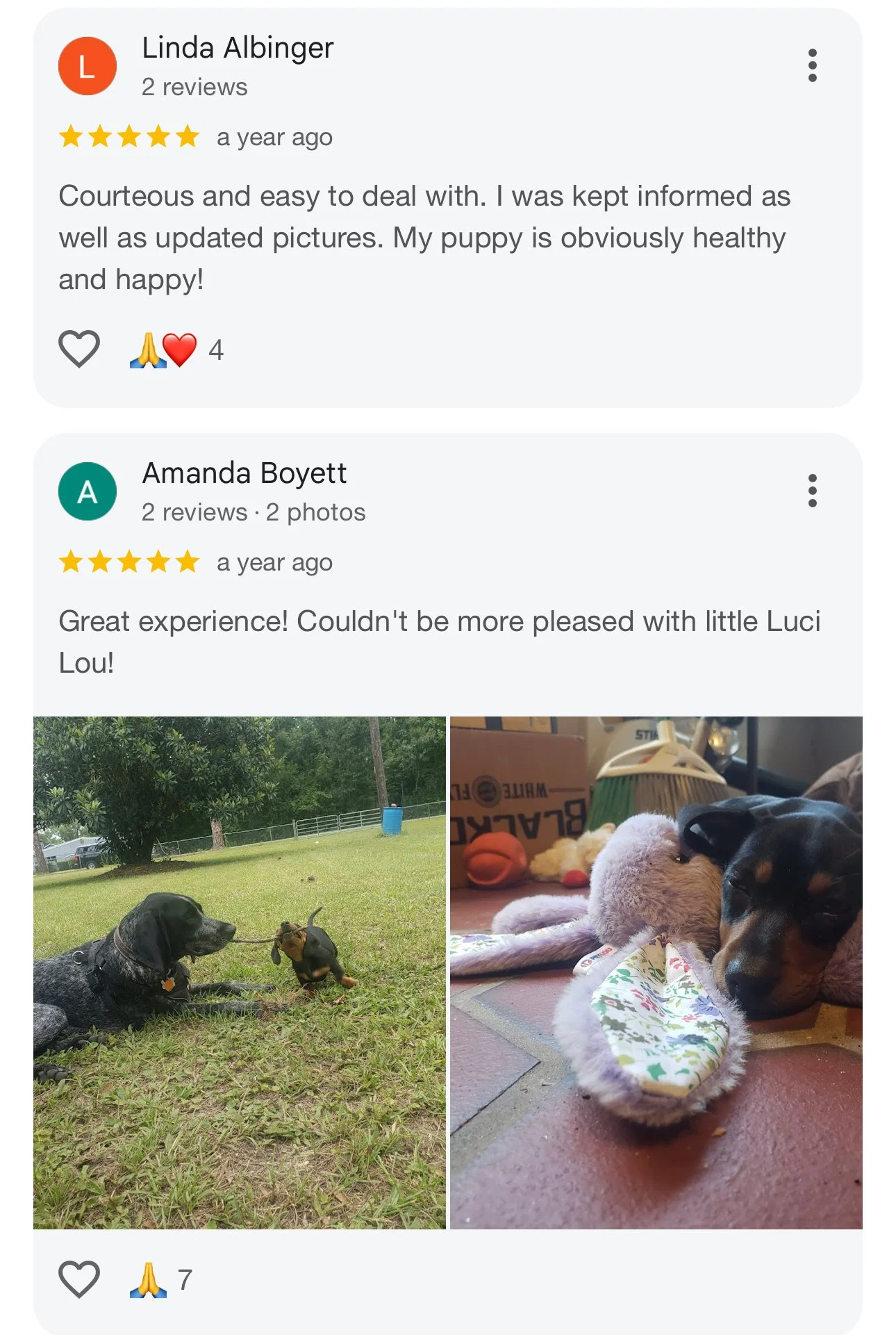 Two photos of a puppy, one outside on grass playing with a small squeaky toy, and one inside lying on a blanket with a stuffed animal. There are reviews from customers praising the puppy and the experience.