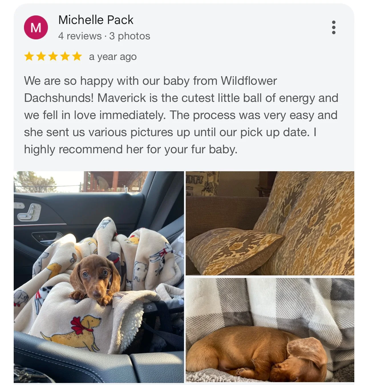 Three photos of a small brown puppy with floppy ears. The first photo shows the puppy sitting on a blanket inside a car, with a window and door visible in the background. The second photo features a brown couch with patterned upholstery and a matchin