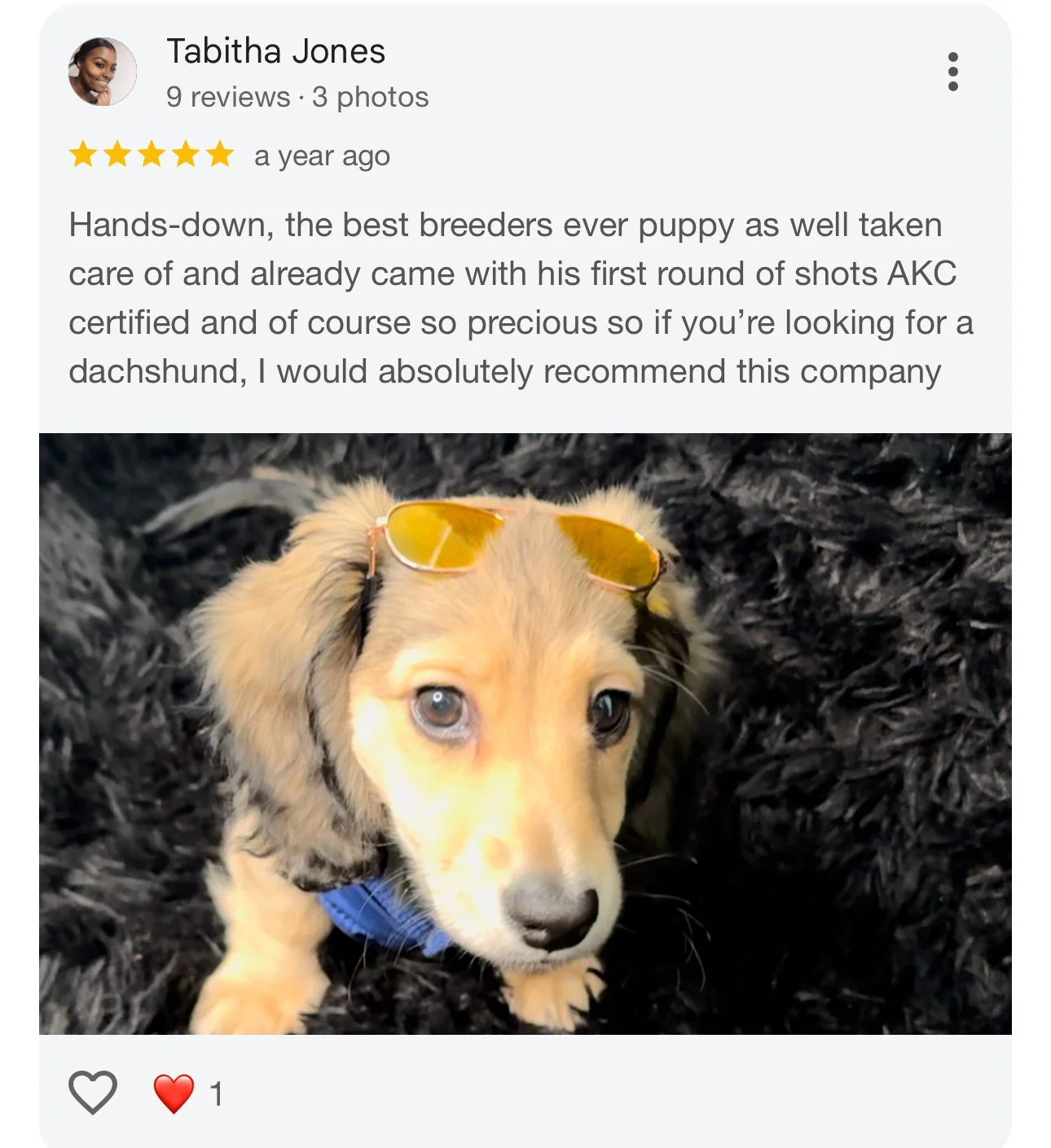 A cute, young puppy with light brown fur and blue eyes lying on a black furry rug, wearing yellow sunglasses on its head.