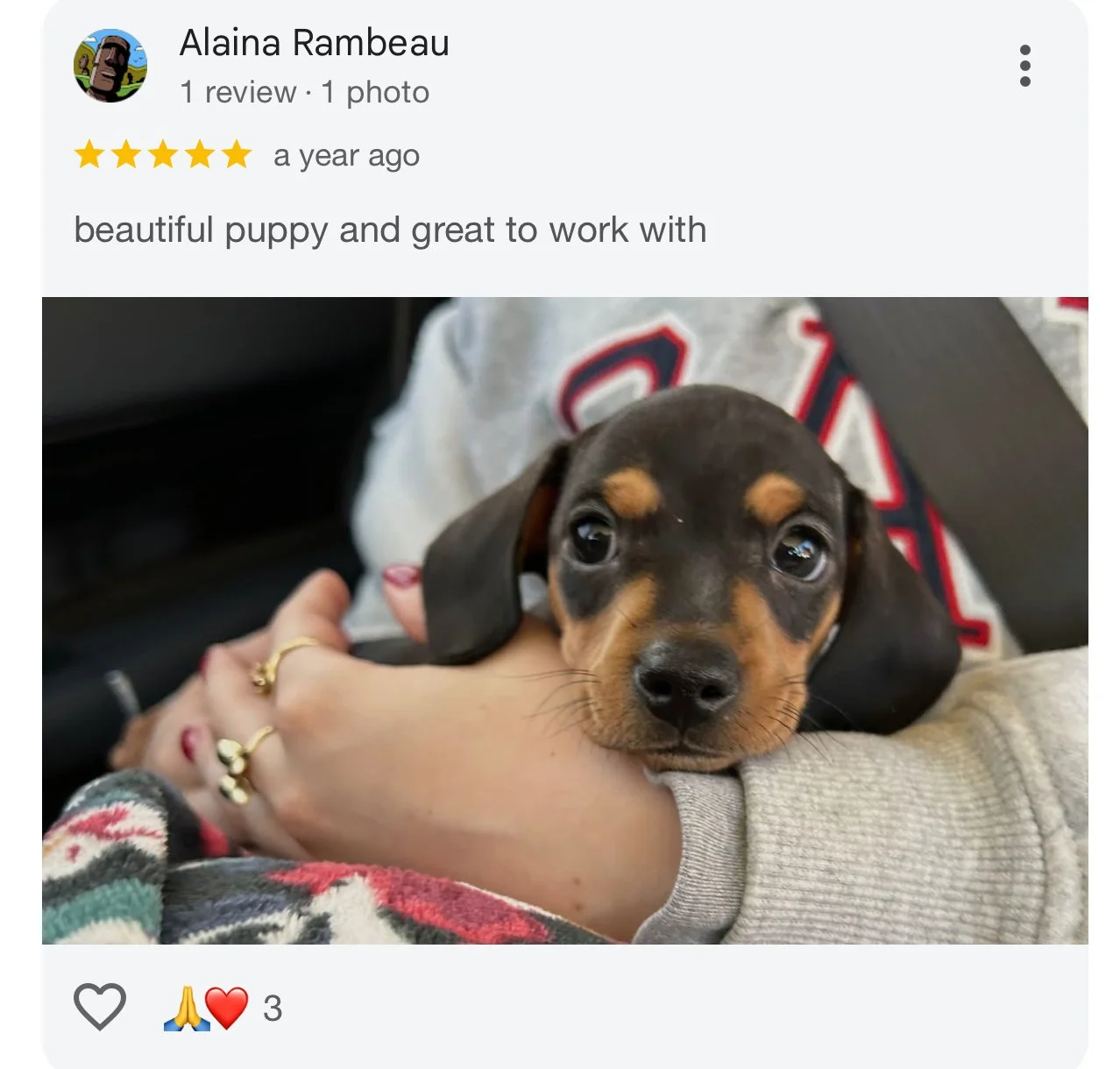A small black and tan puppy resting its head on a person's arm.