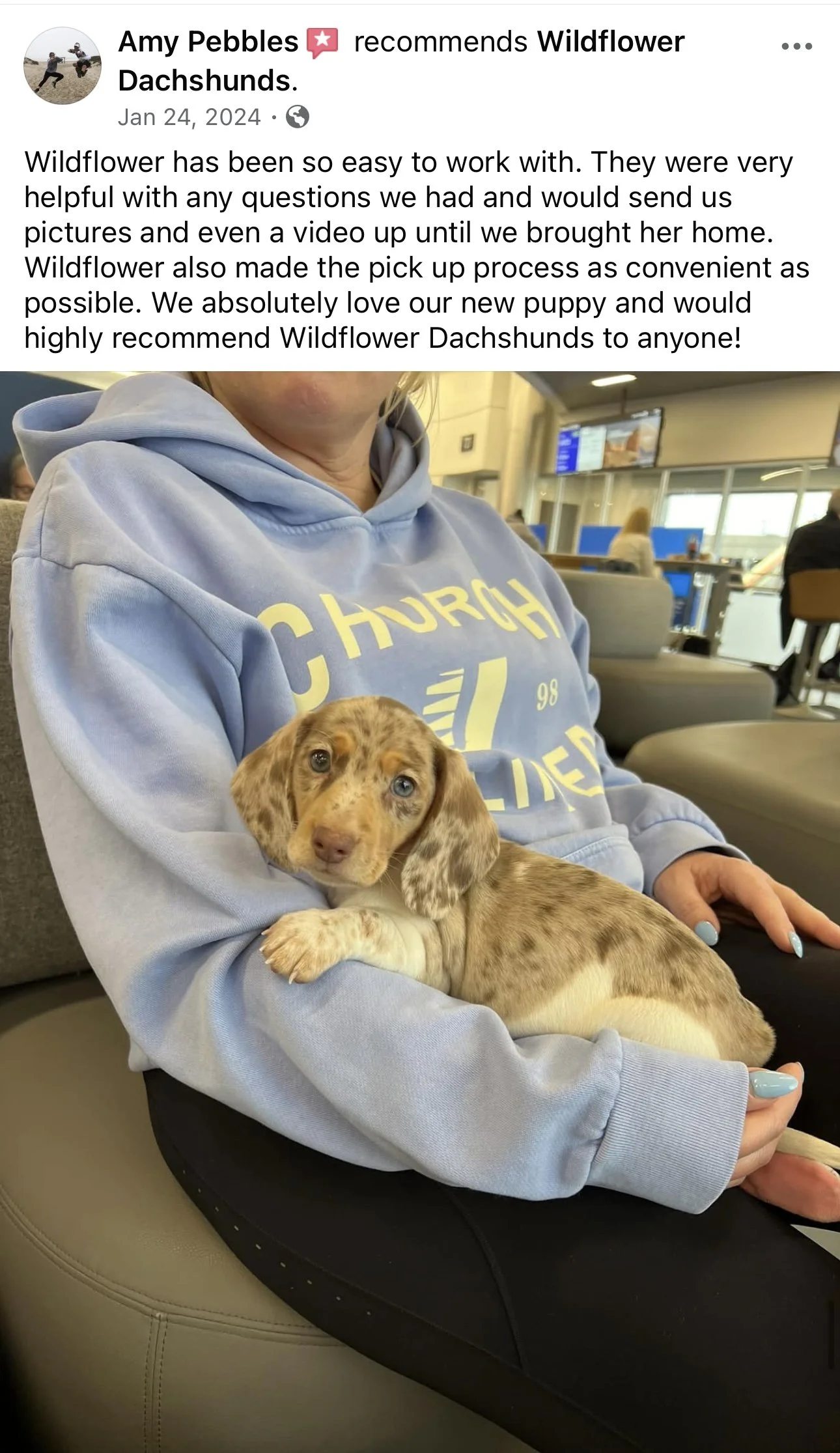 A woman in a light blue hoodie sitting in an airport terminal holding a brown and white spotted dachshund puppy on her lap.