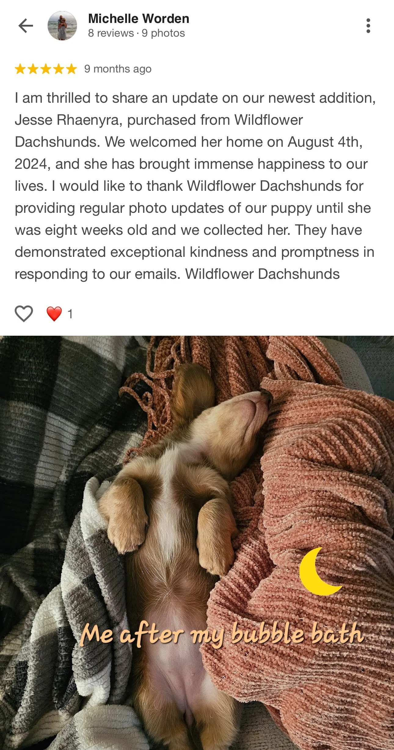 A small puppy lying on its back on a bed, surrounded by blankets, with a pinkish-brown blanket on top. The text overlay says 'Me after my bubble bath' with a yellow crescent moon graphic.